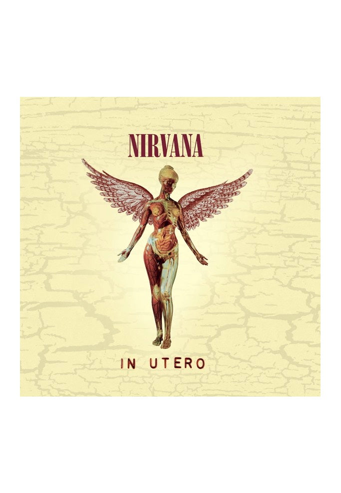 Nirvana In Utero 20th まさっ Anniversary