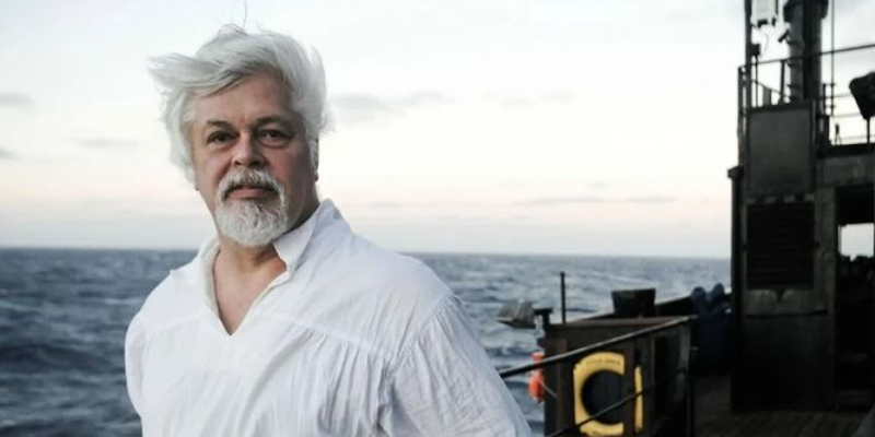 Paul Watson, Founder Of Sea Shepherd, Arrested In Greenland