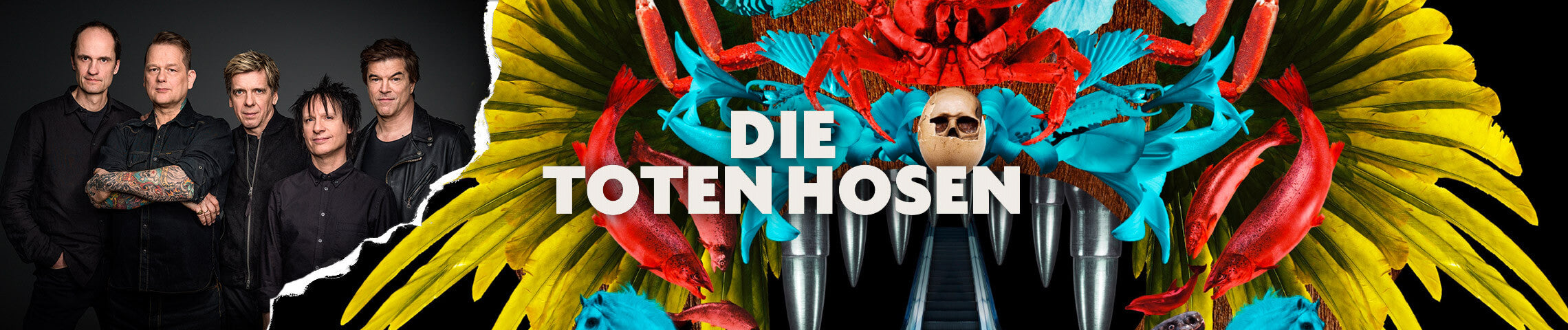 Die Toten Hosen