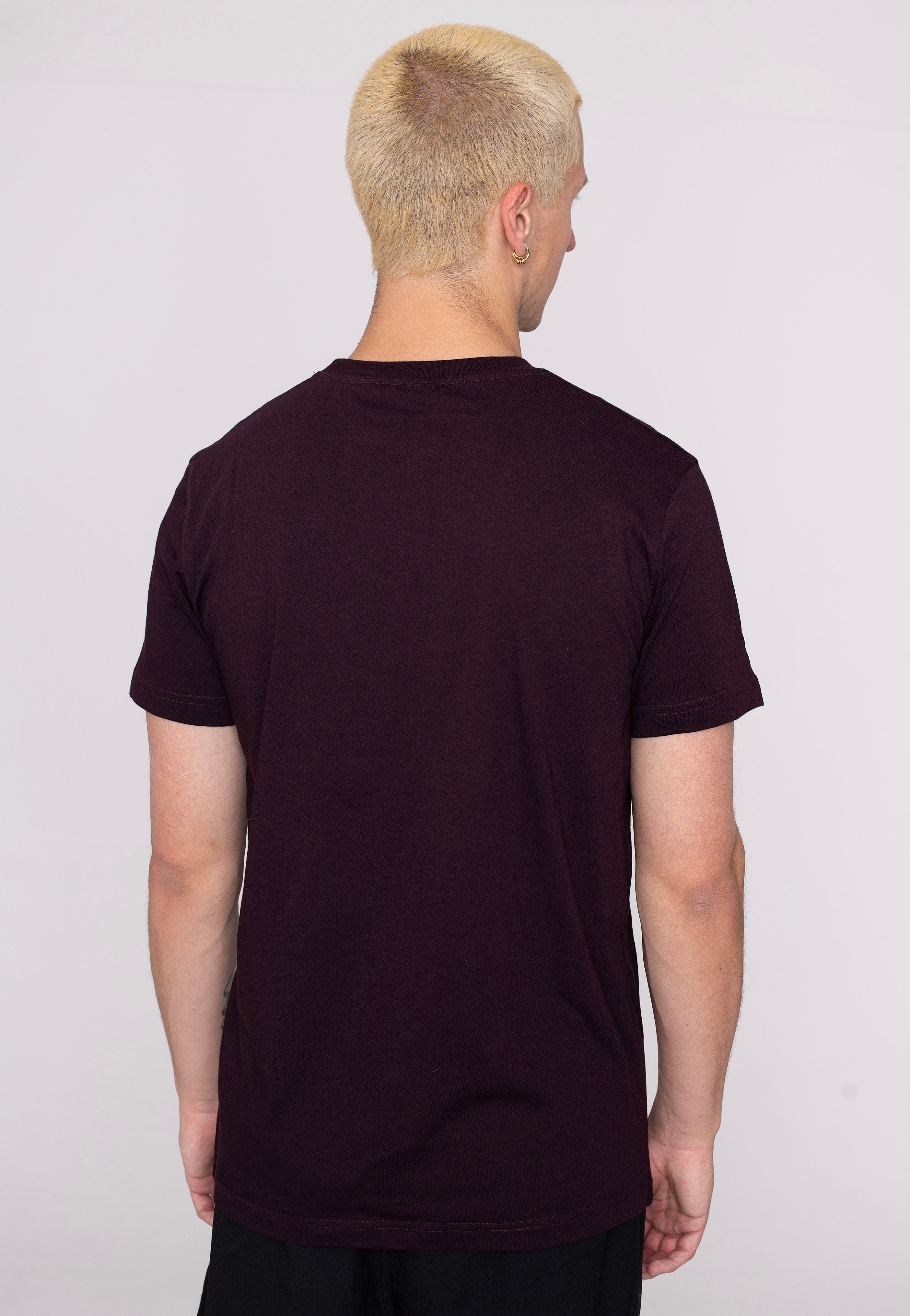 Iriedaily - Loop Flag Aubergine - T-Shirt | Men-Image