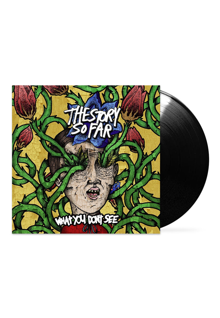 The Story So Far - What You Don't See - Vinyl | Neutral-Image