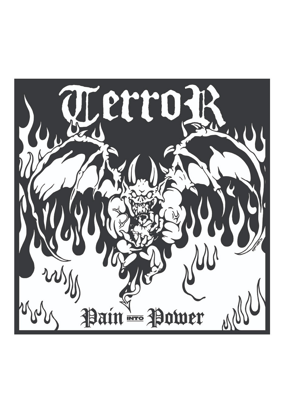 Terror - Pain Into Power - CD | Neutral-Image