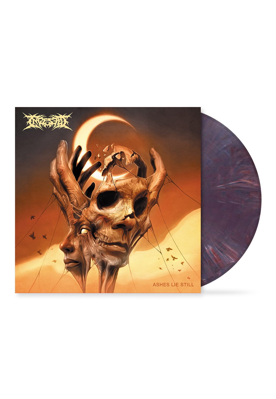 Ingested - Ashes Lie Still Violet Purple - Marbled Vinyl | Neutral-Image