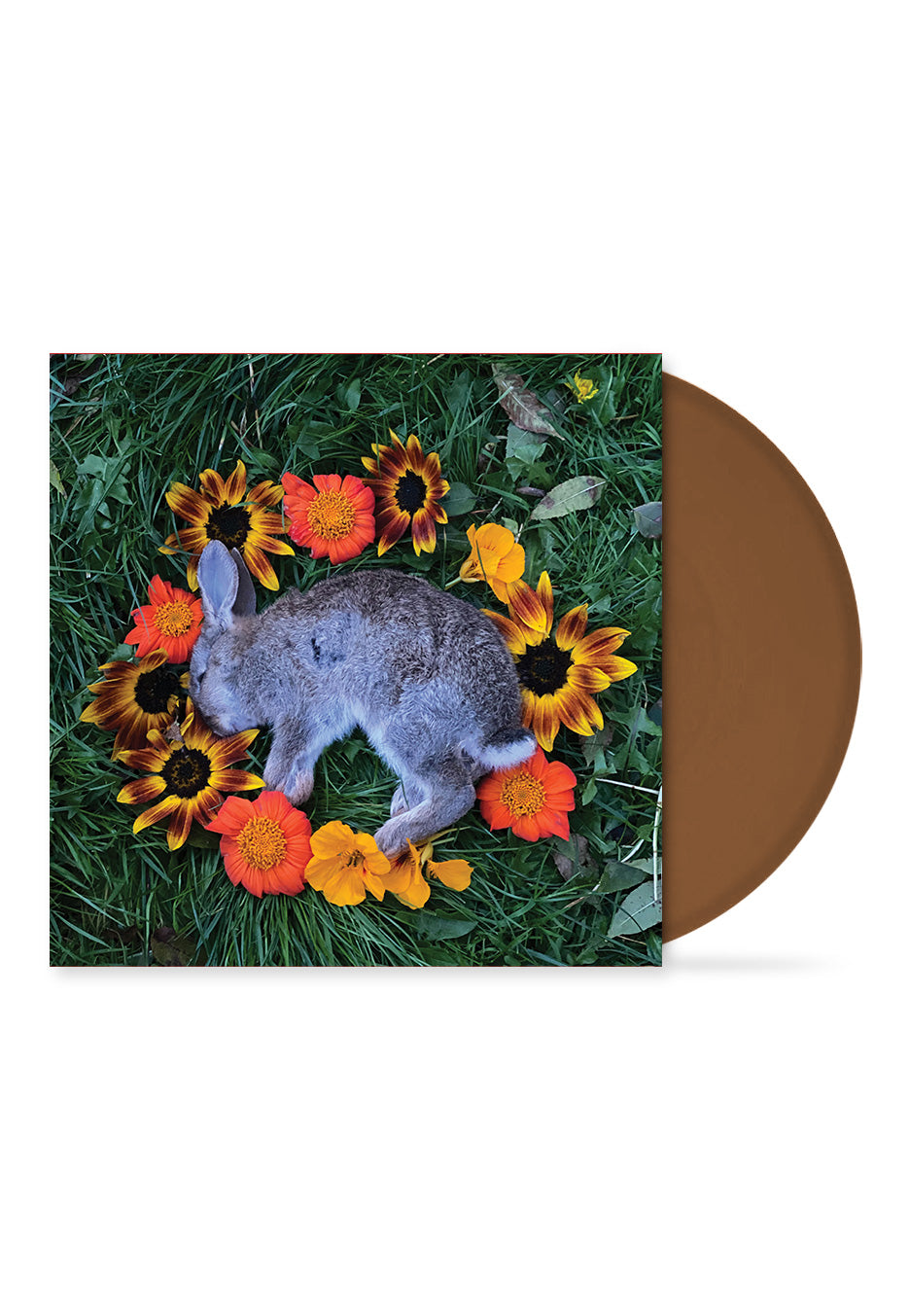 Monolord - Your Time To Shine Ltd. Brown - Colored Vinyl | Neutral-Image