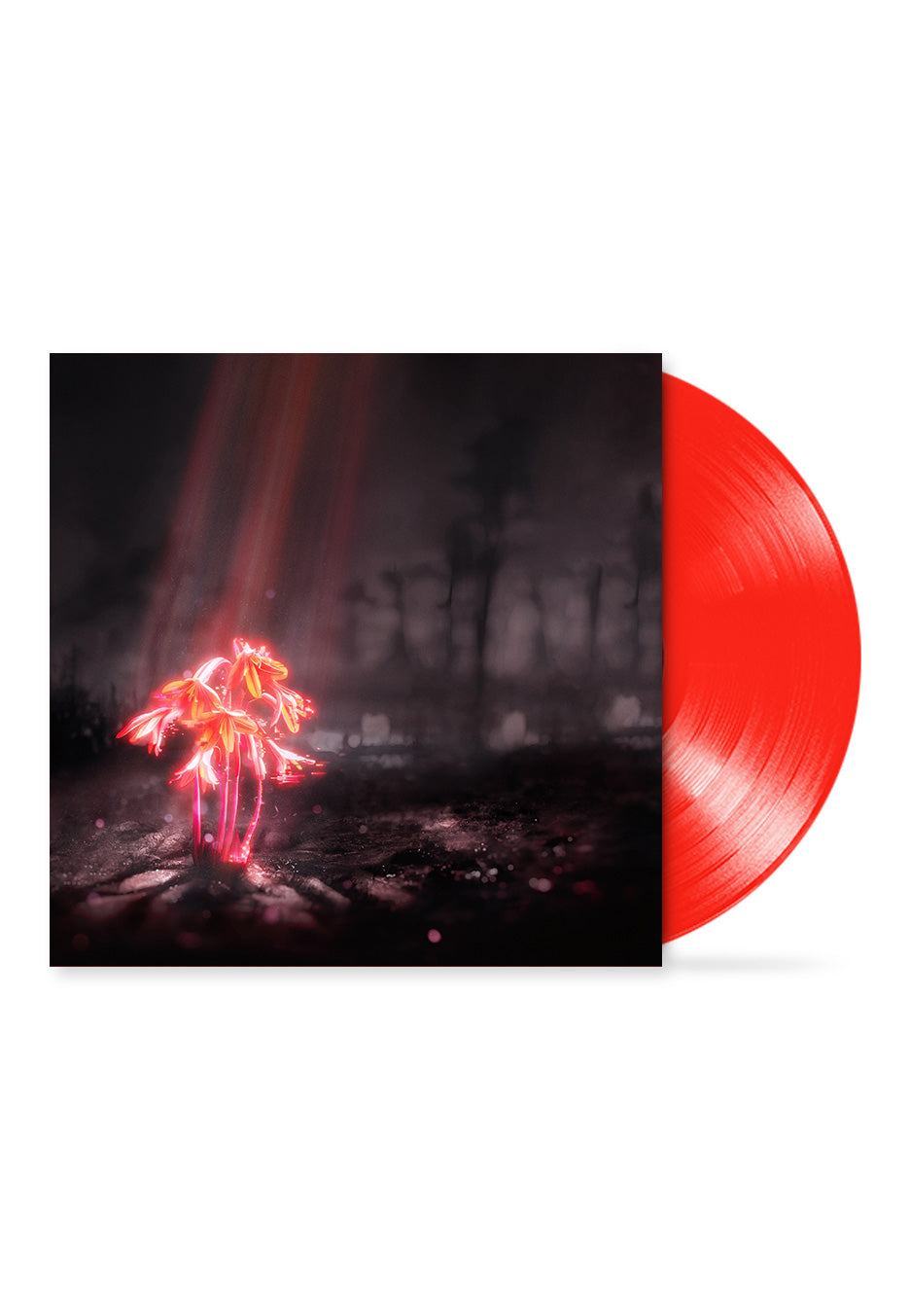 Enter Shikari - A Kiss For The Whole World Sunset - Colored Vinyl | Neutral-Image