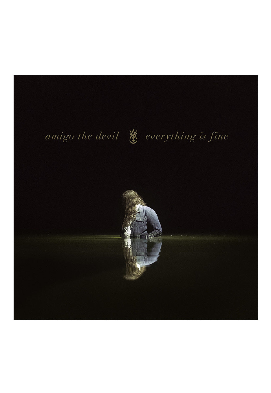 Amigo The Devil - Everything Is Fine - Vinyl | Neutral-Image