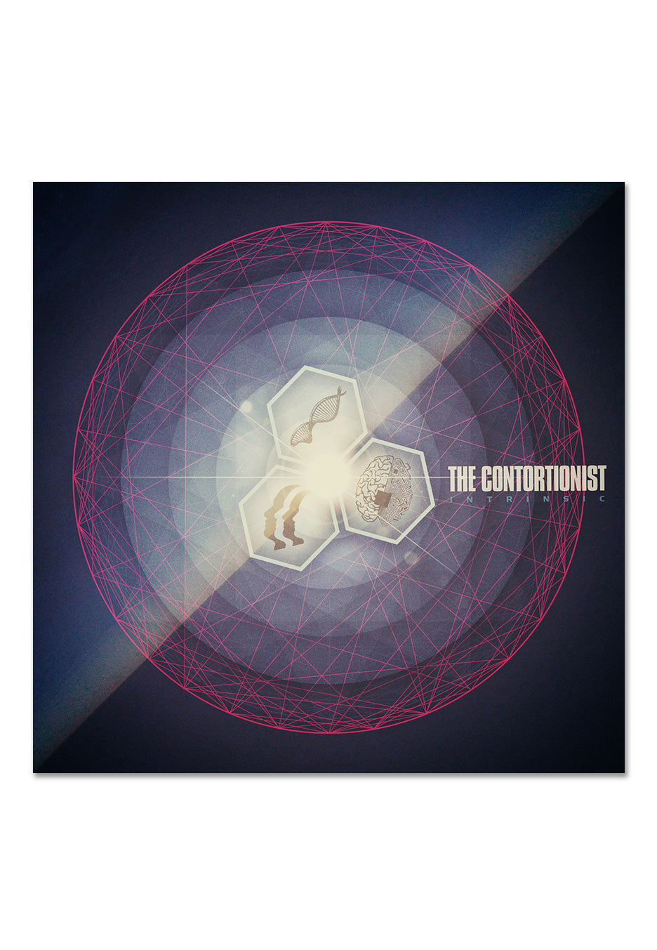 The Contortionist - Intrinsic Clear/Grape Pinwheel w/ White/Blue - Splattered Vinyl | Neutral-Image