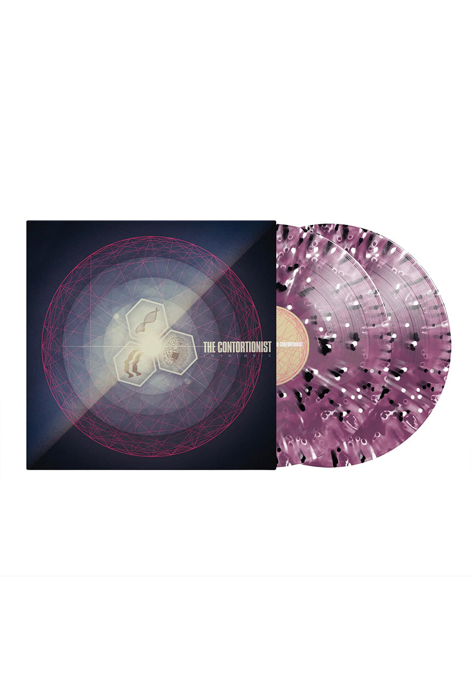 The Contortionist - Intrinsic Grape Ghost w/ White & Black - Colored Vinyl | Neutral-Image