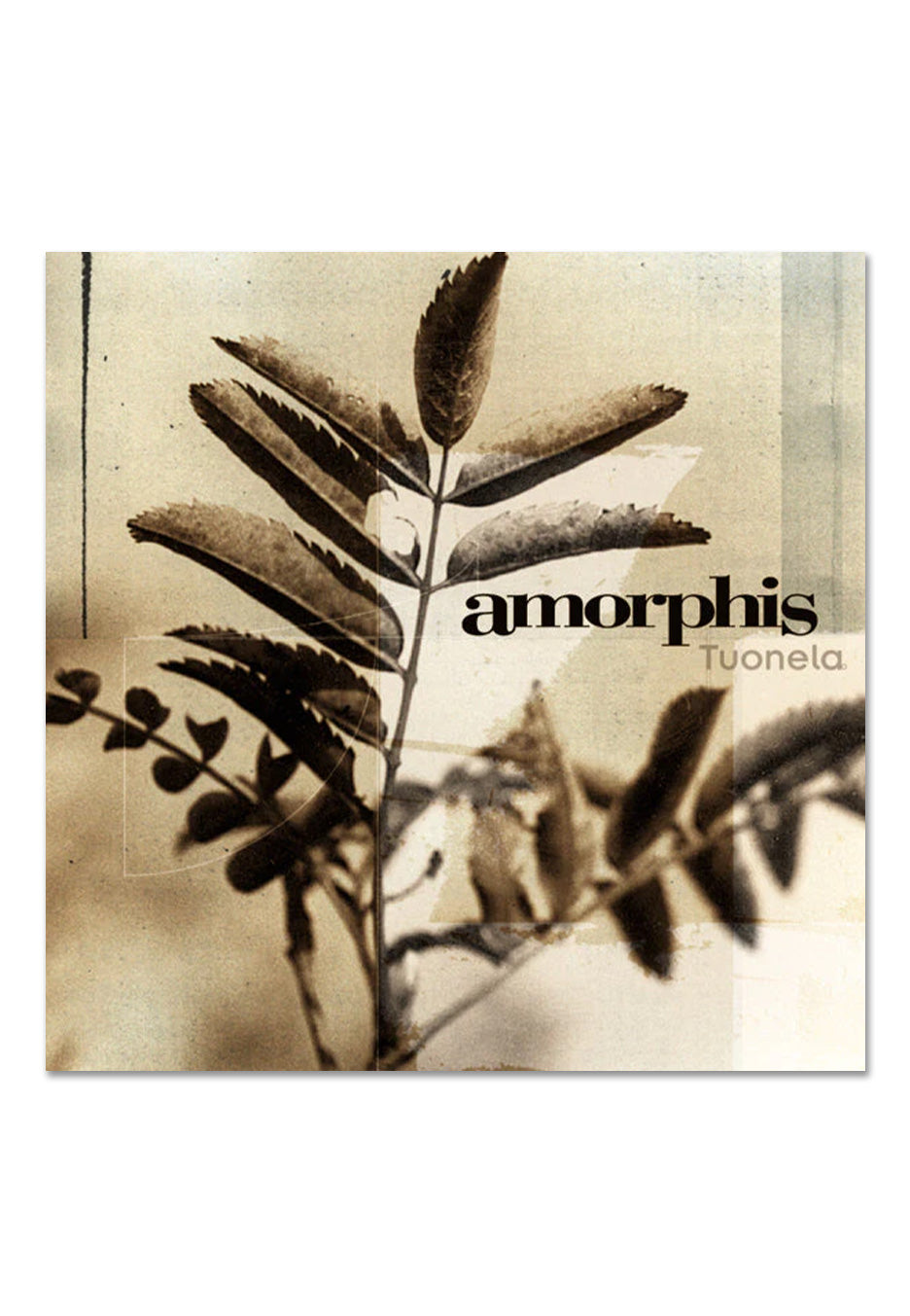 Amorphis - Tuonela Ltd. Black & Gold Galaxy - Colored Vinyl | Neutral-Image