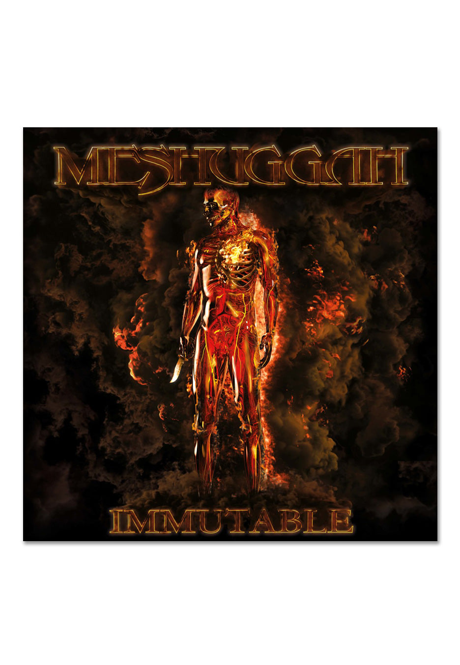 Meshuggah - Immutable Ltd. Orange/Black Circle - Colored 2 Vinyl | Neutral-Image