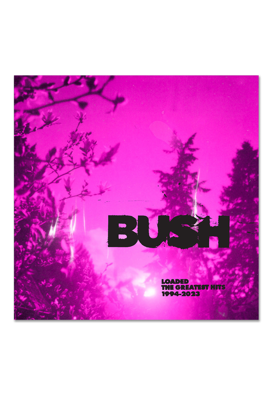 Bush - Loaded: The Greatest Hits 1994-2023 Cloudy Clear - Colored 2 Vinyl | Neutral-Image