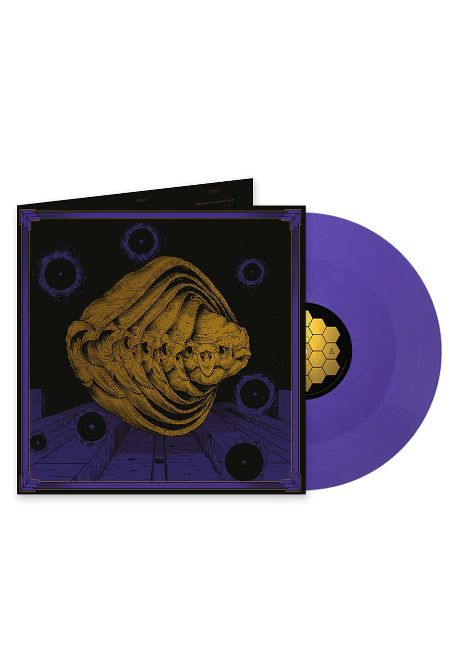 Tortuga - Iterations Purple - Colored Vinyl | Neutral-Image