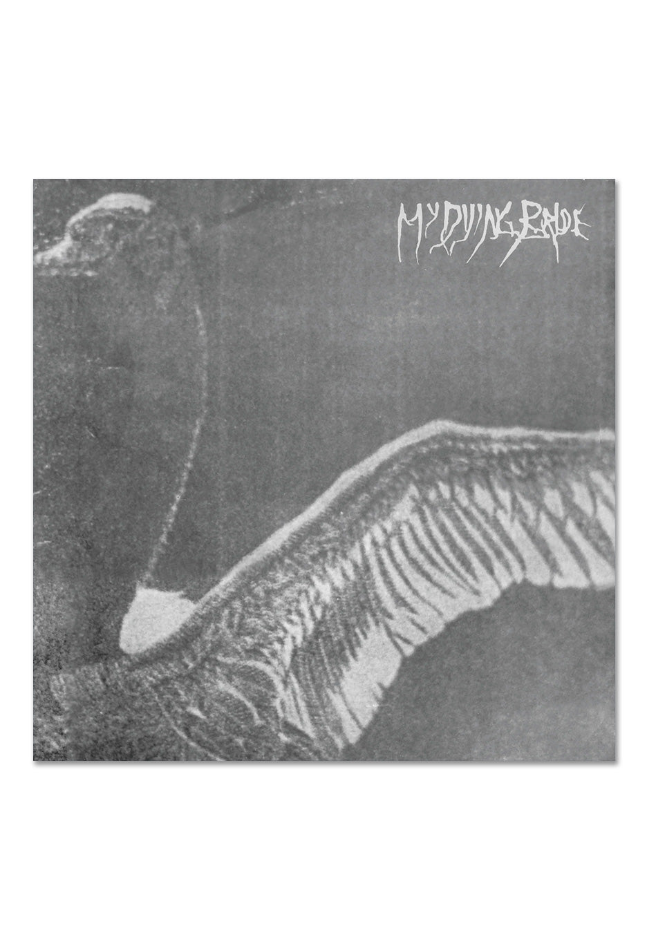 My Dying Bride - Turn Loose To Swans (30th Anniversary) Ltd. Gey/Black - Marbled Vinyl | Neutral-Image