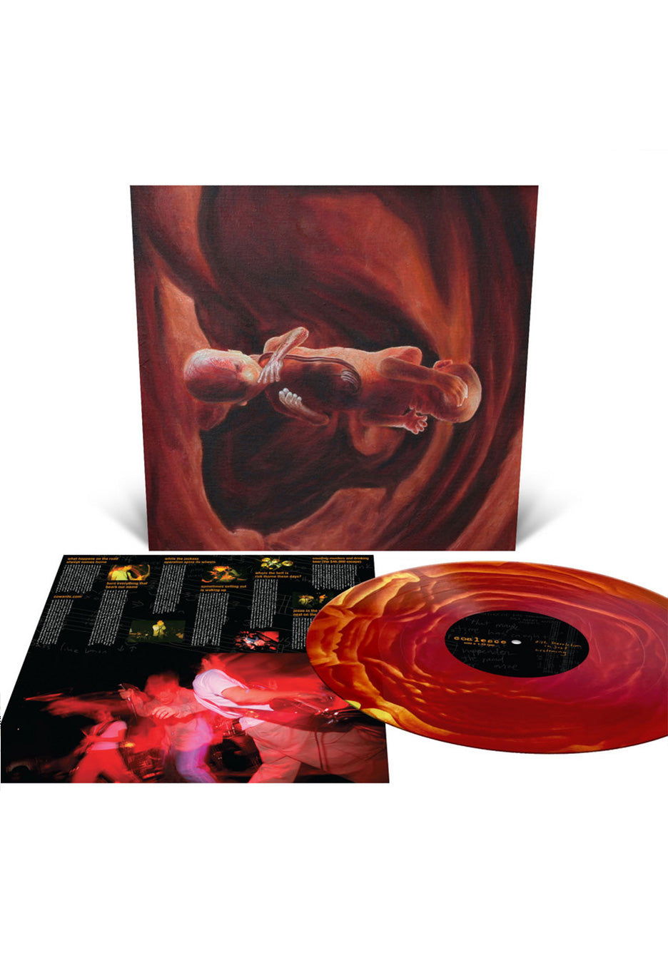 Coalesce - 0:12 Revolution In Just Listening Ltd. Oxblood/Yellow - Colored Vinyl | Neutral-Image