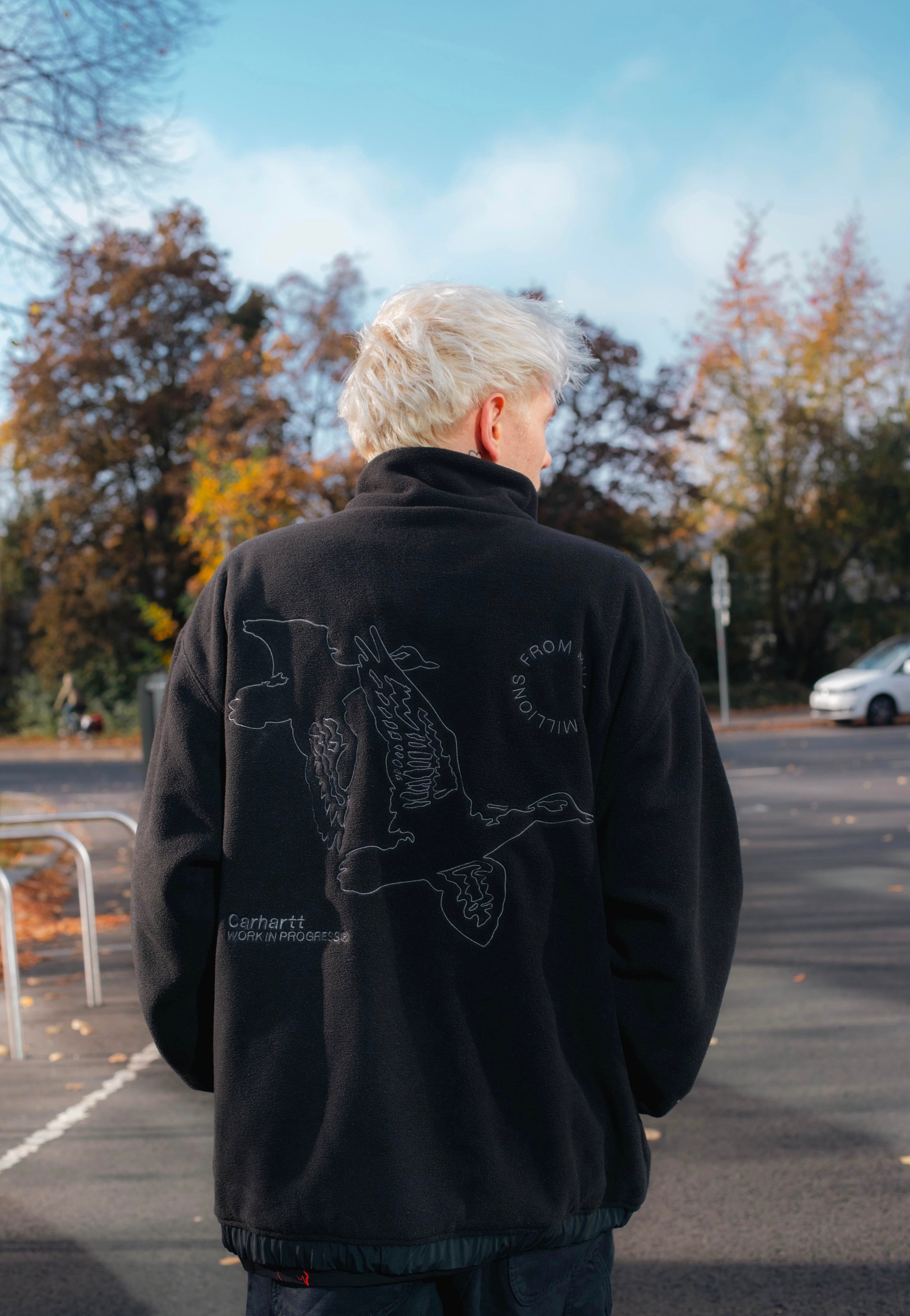 Carhartt WIP - Flying Ducks Liner Black - Jacket | Men-Image