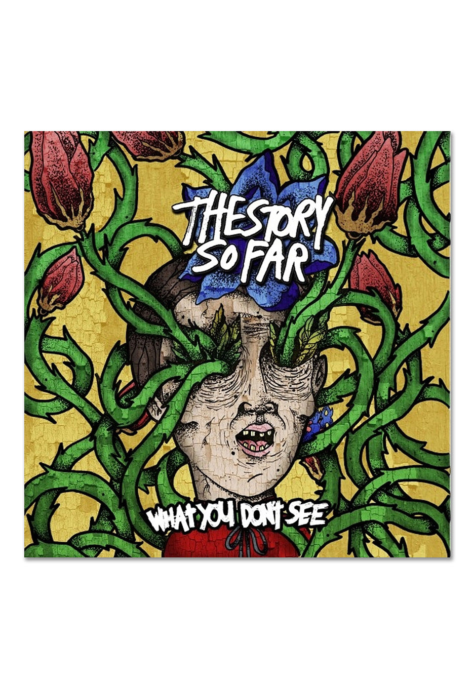 The Story So Far - What You Don't See Ltd. Tide Pod - Marbled Vinyl | Neutral-Image