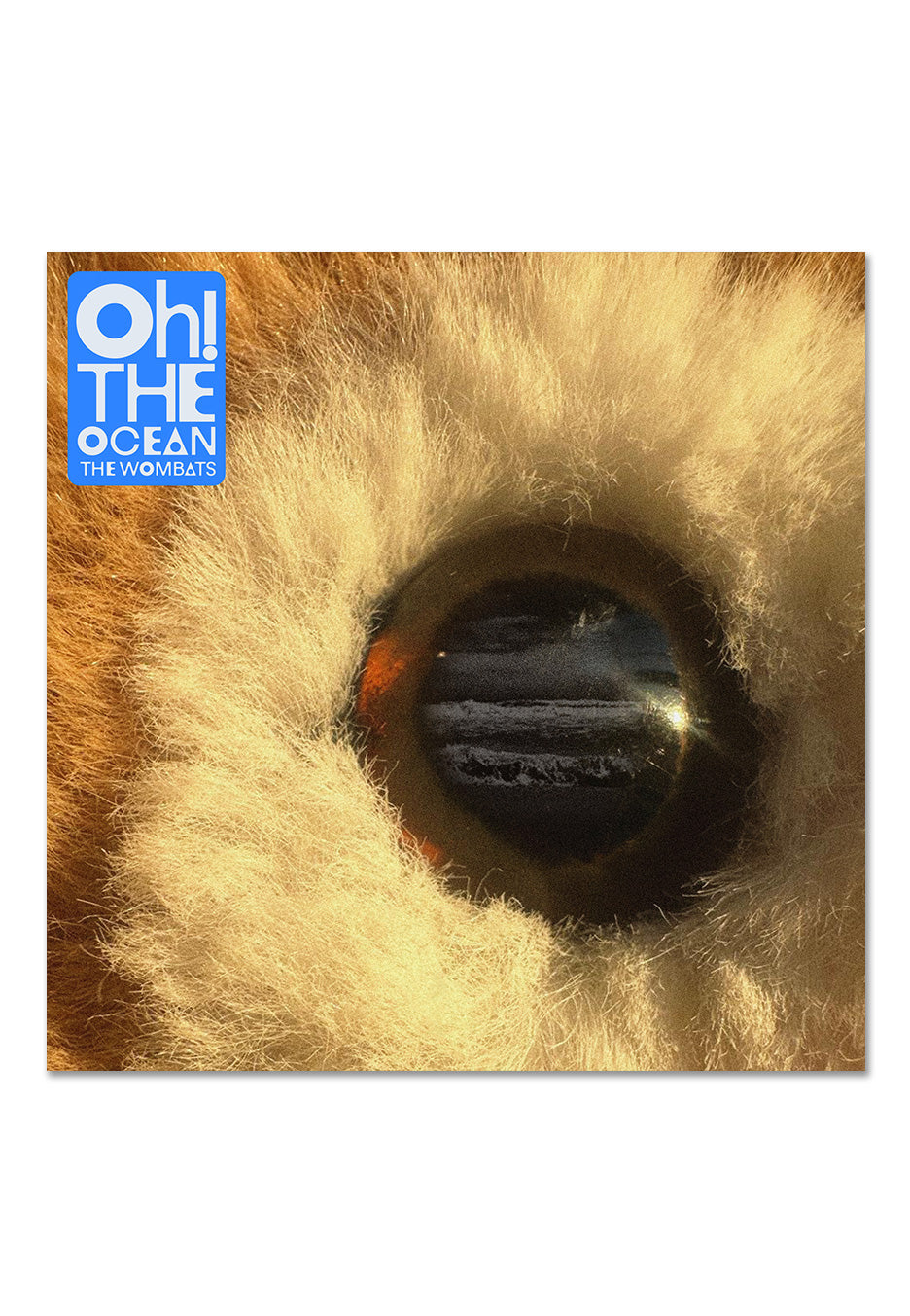 The Wombats - Oh! The Ocean - CD | Neutral-Image