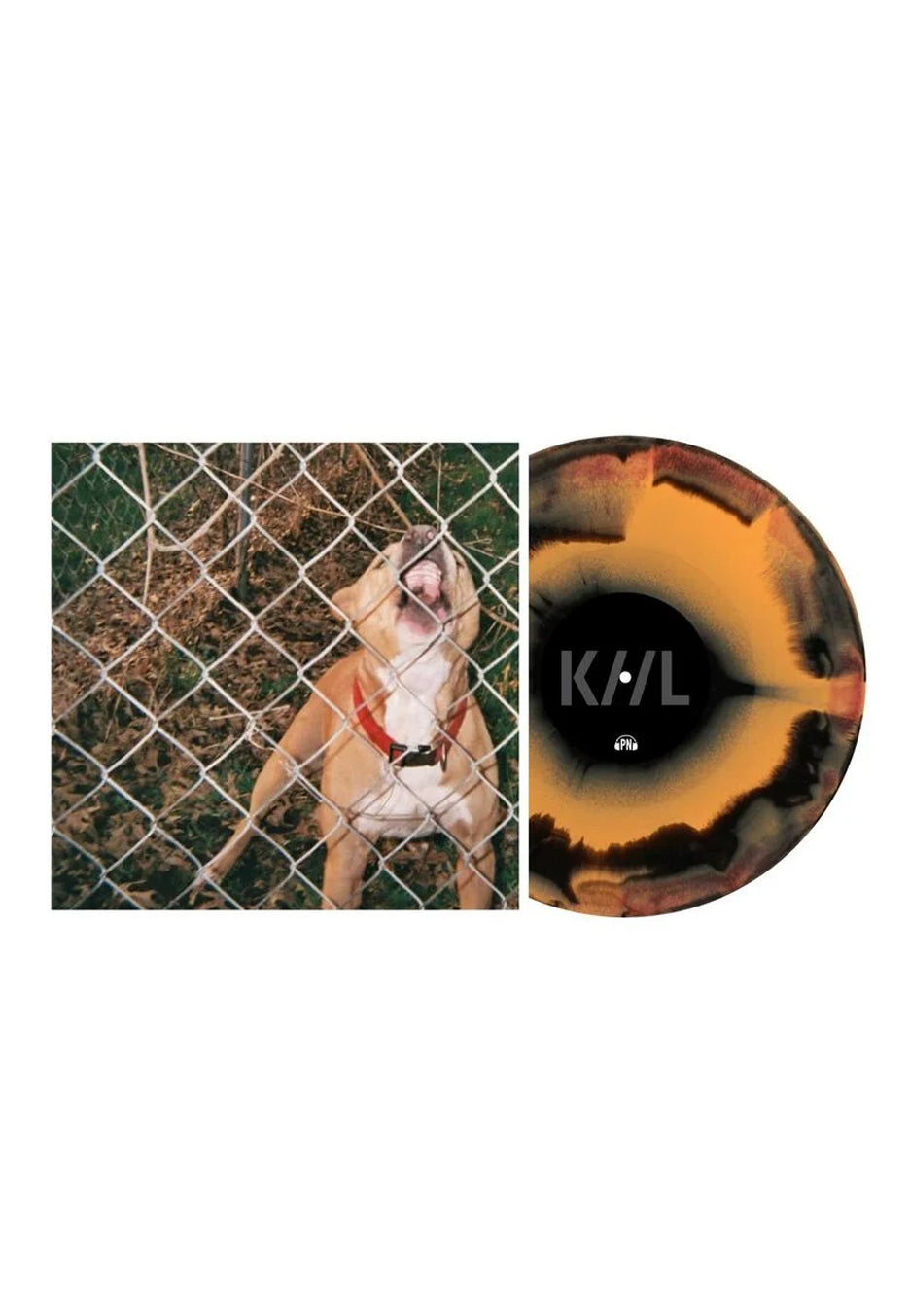 Knocked Loose - Pop Culture Ltd. Orange/Black - Colored Vinyl | Neutral-Image