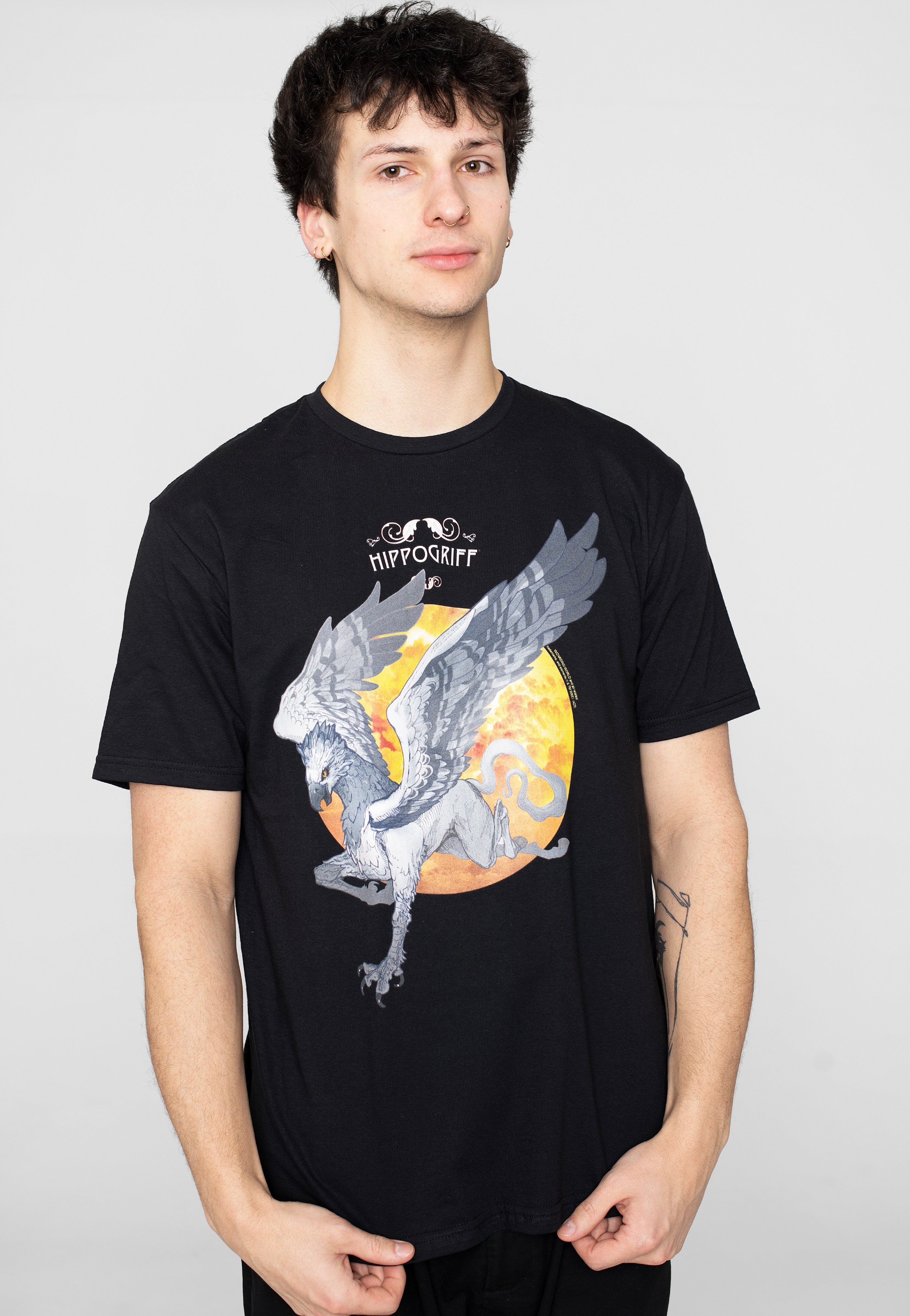 Harry Potter - Hippogreif - T-Shirt | Men-Image