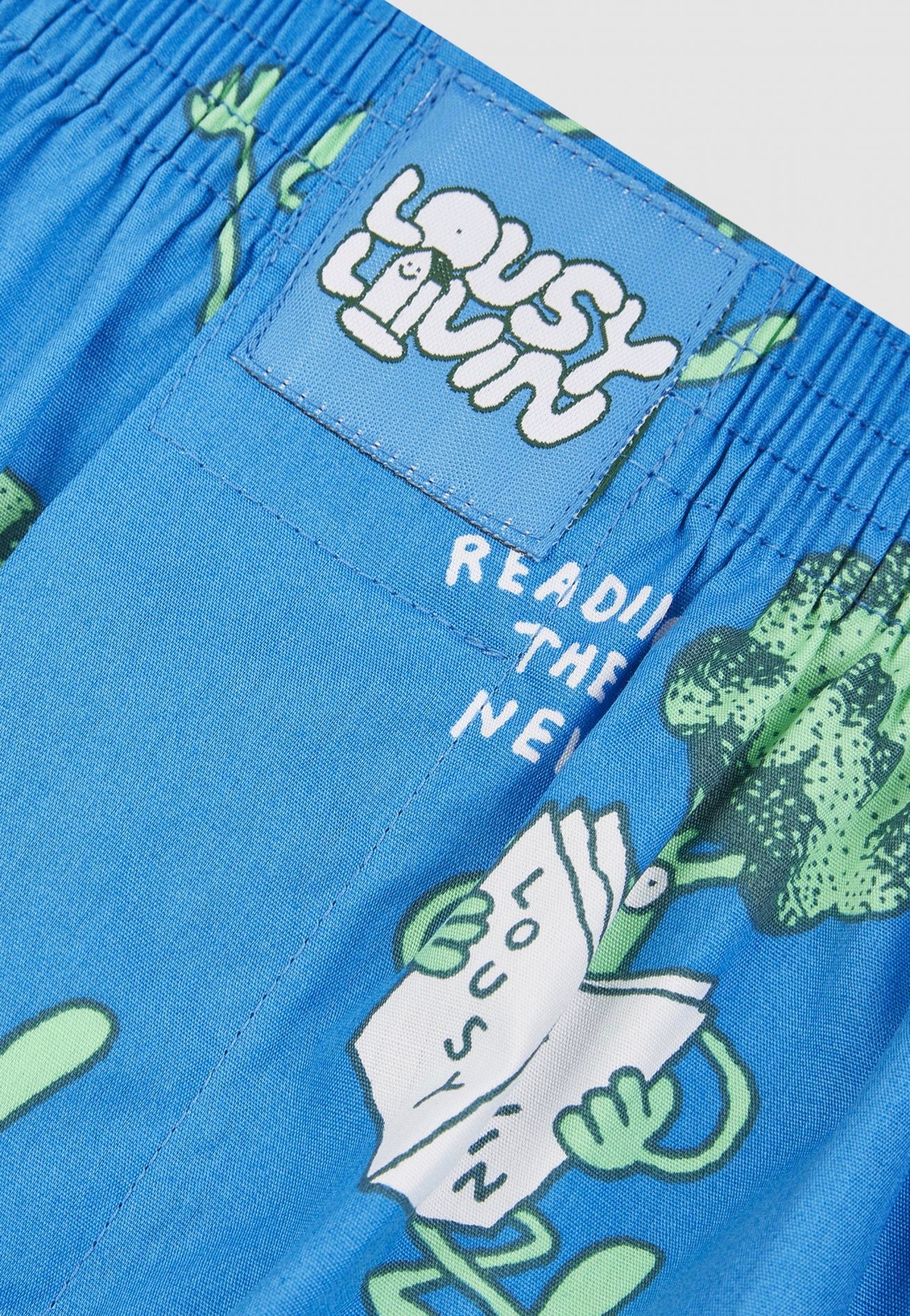 Lousy Livin - Broccoli Directoire Blue - Boxershorts | Men-Image