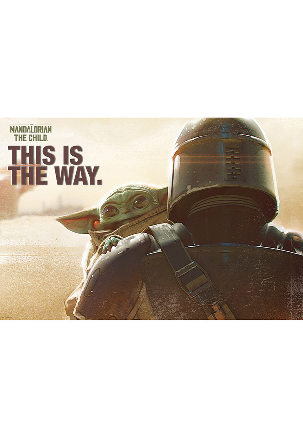 The Mandalorian - Mando & The Child Maxi - Poster | Neutral-Image