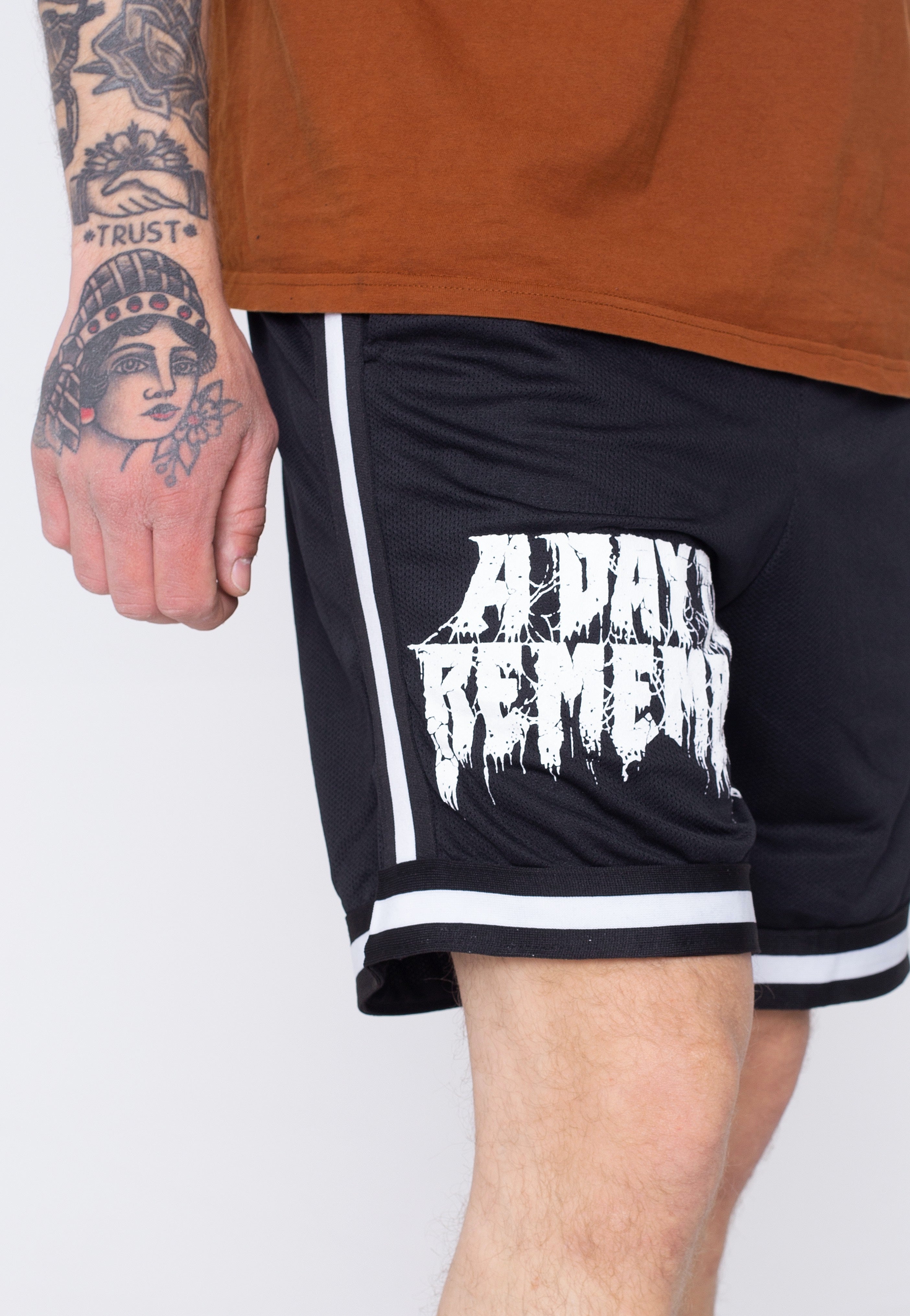 A Day To Remember - Riddick Logo Striped - Shorts | Men-Image