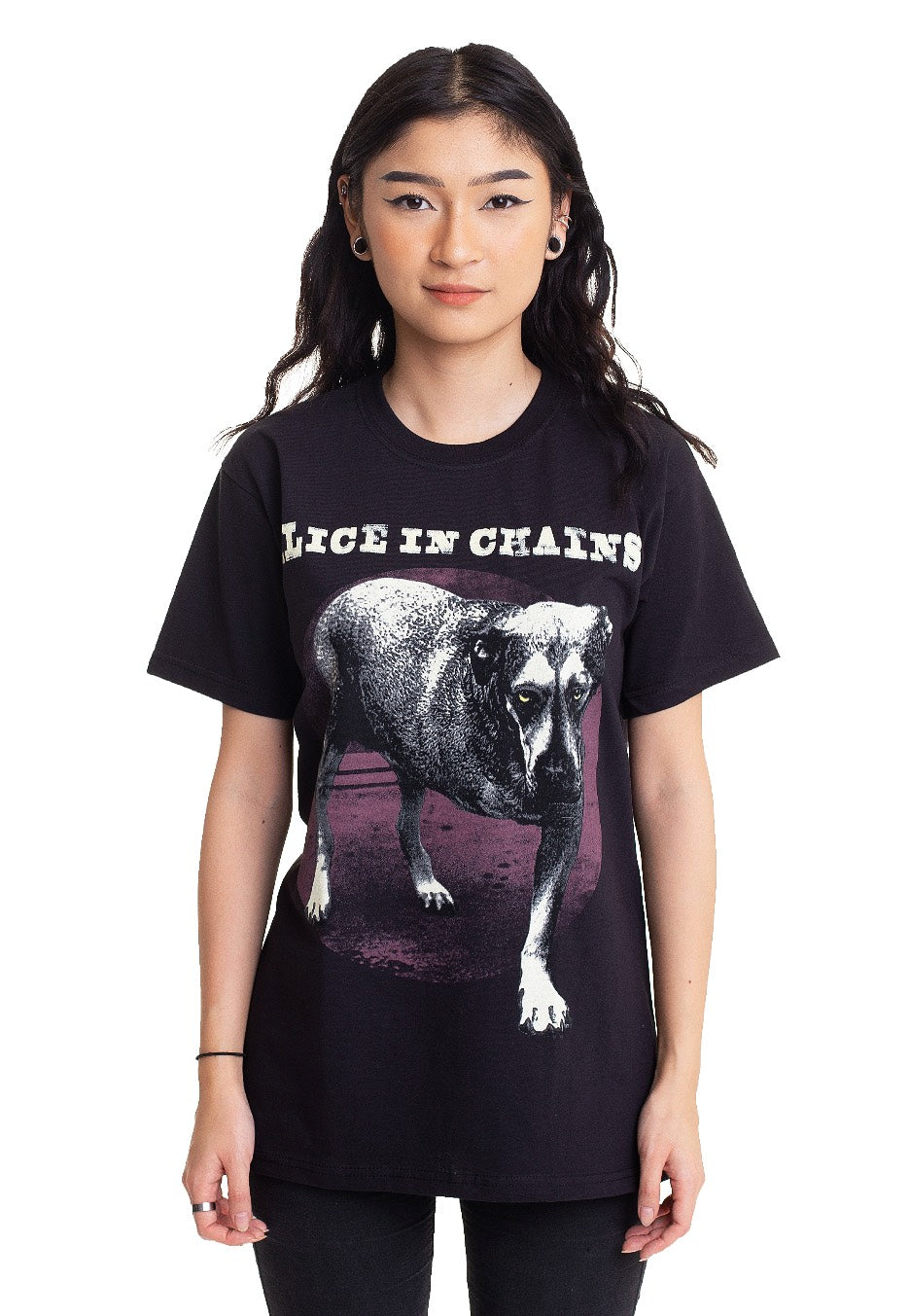 Selling Vintage 1995 Alice in Chains 3 Legged Dog shirt.