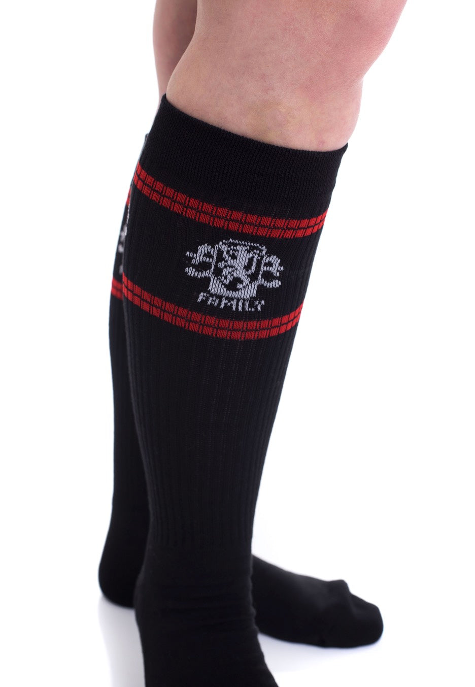 Asking Alexandria - Family Knee High - Socks | Neutral-Image