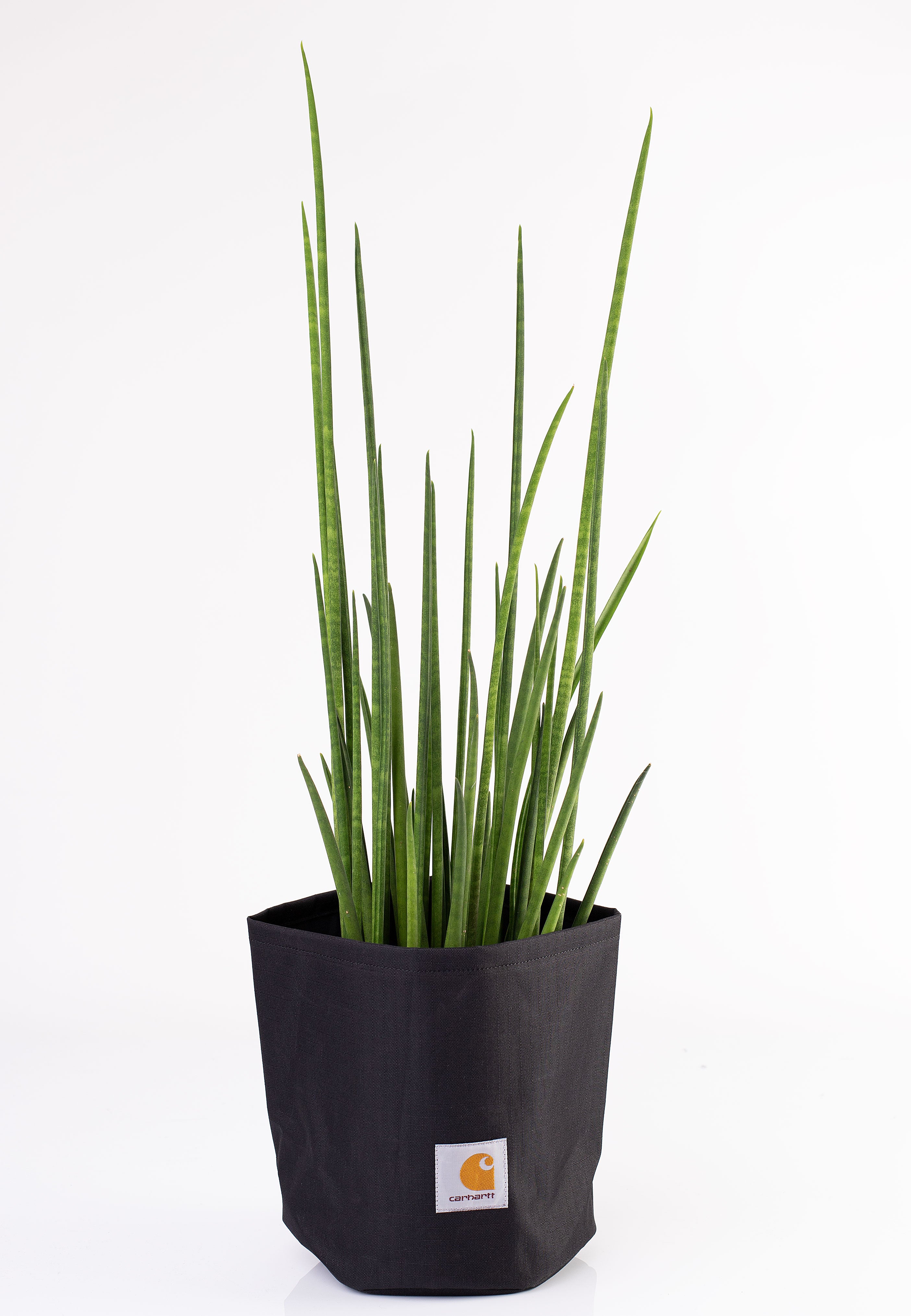 Carhartt WIP - Groundworks Black - Plant Pot | Neutral-Image