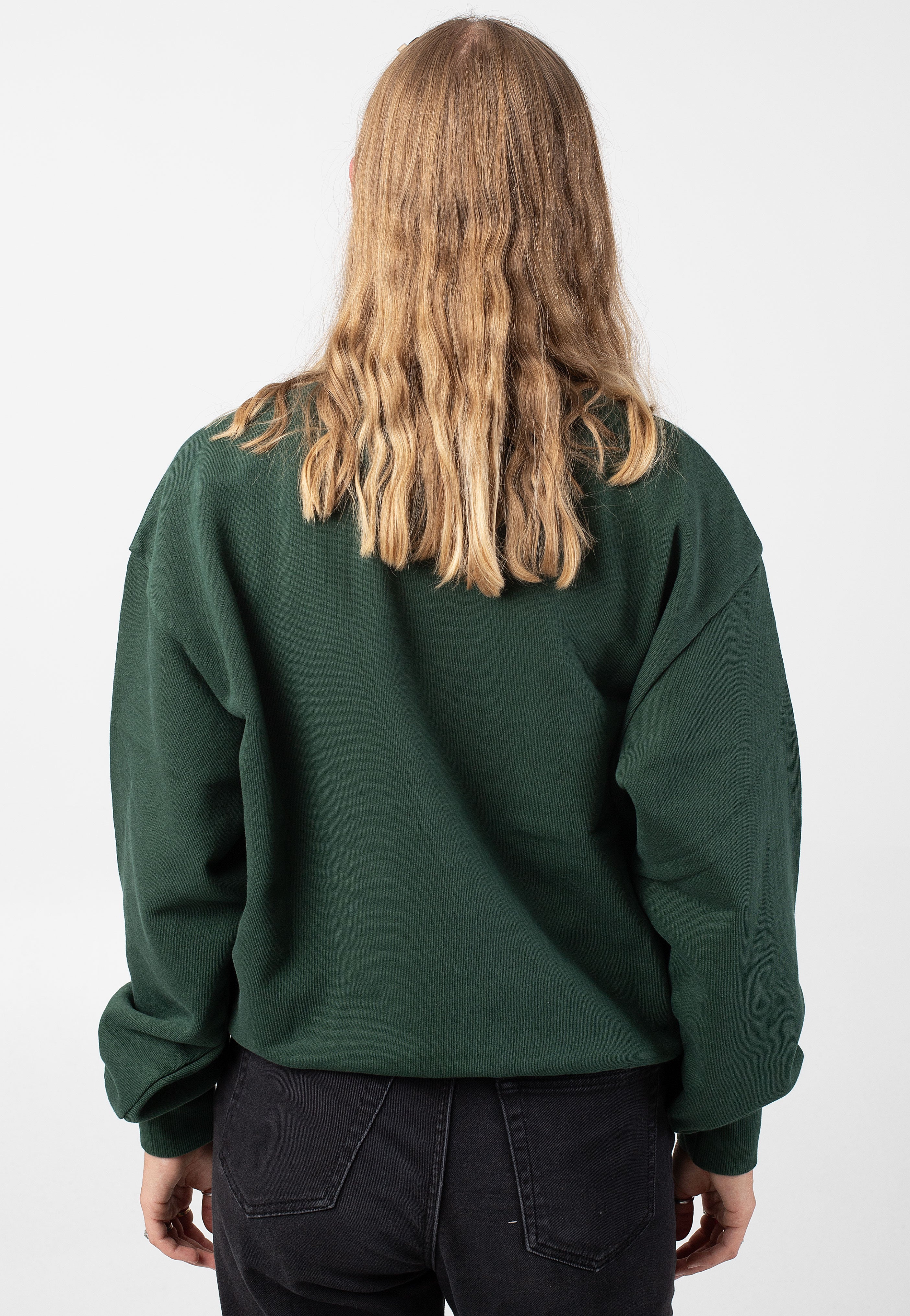 Carhartt WIP - W' Casey Sycamore Tree/Silver - Sweater | Women-Image