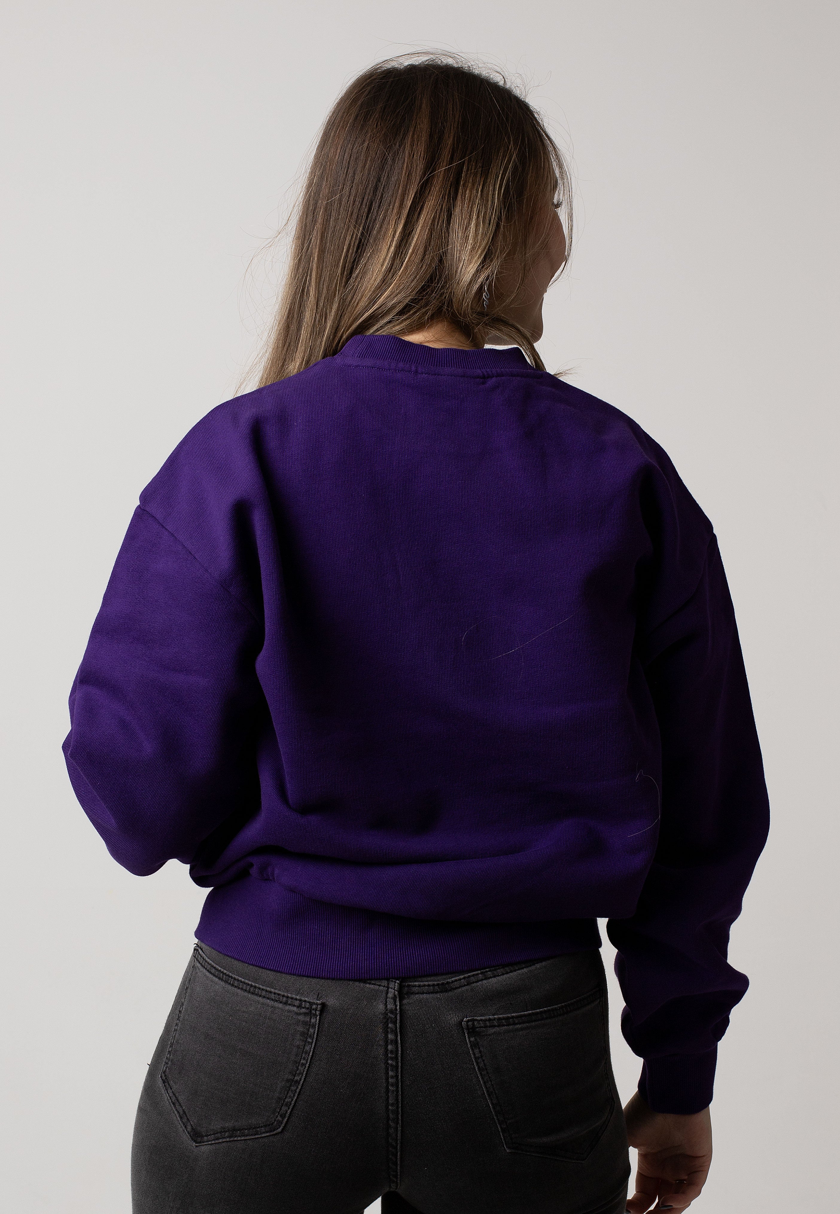 Carhartt WIP - W' Casey Tyrian/Silver - Sweater | Women-Image