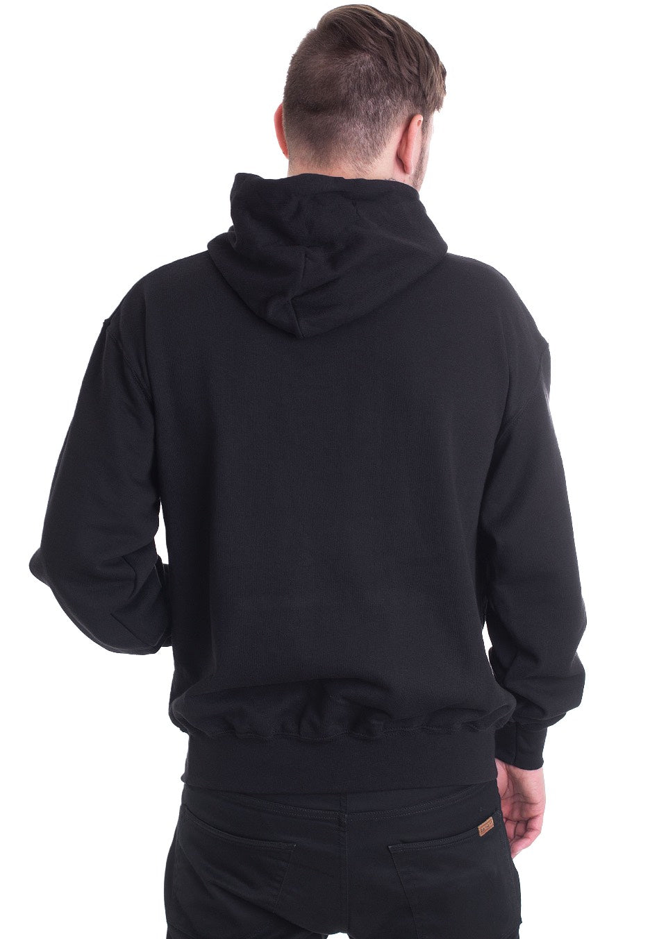 Danzig - Classic Logo - Hoodie | Men-Image