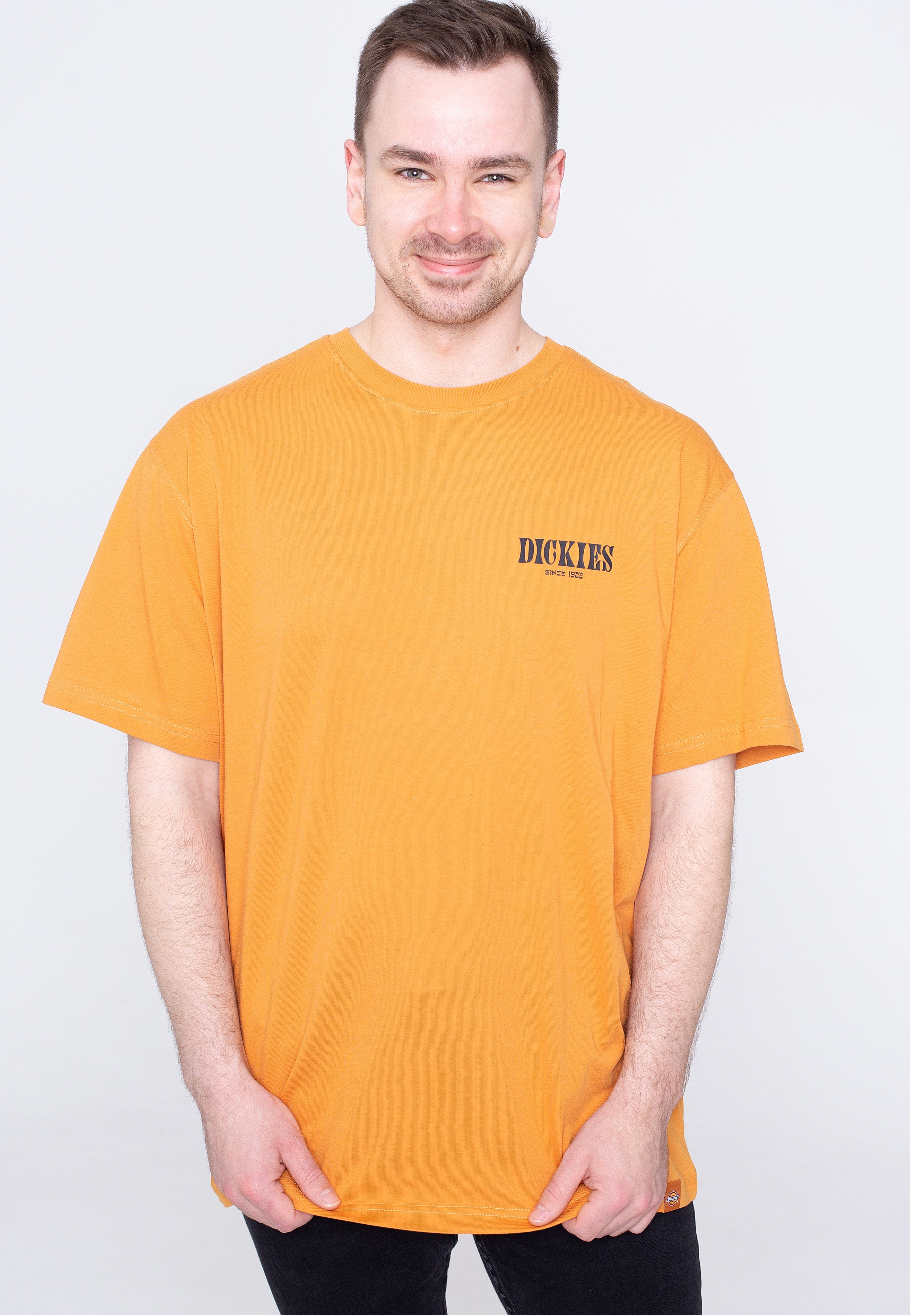 Dickies - Kelso Golden Ochre - T-Shirt | Men-Image