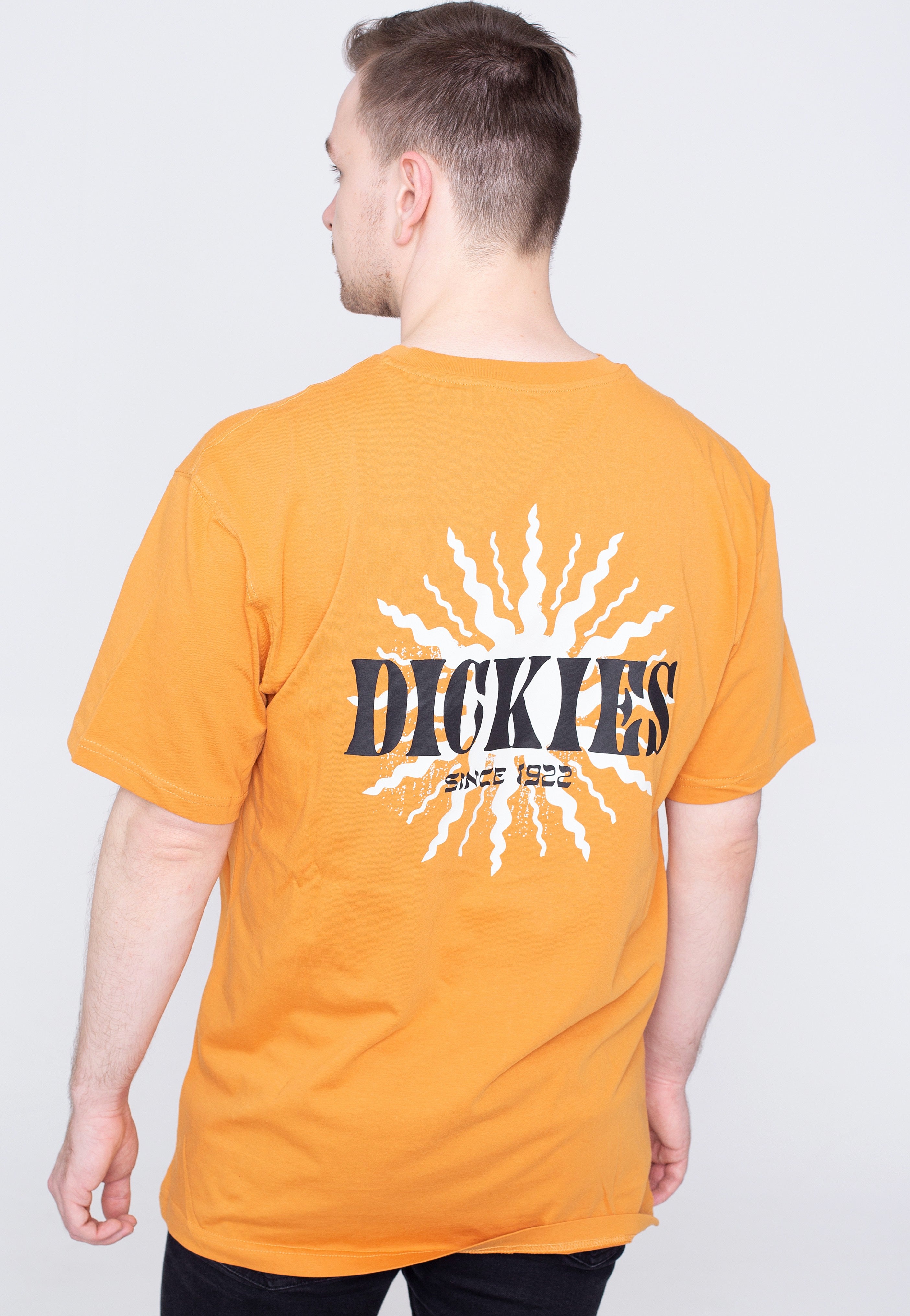 Dickies - Kelso Golden Ochre - T-Shirt | Men-Image