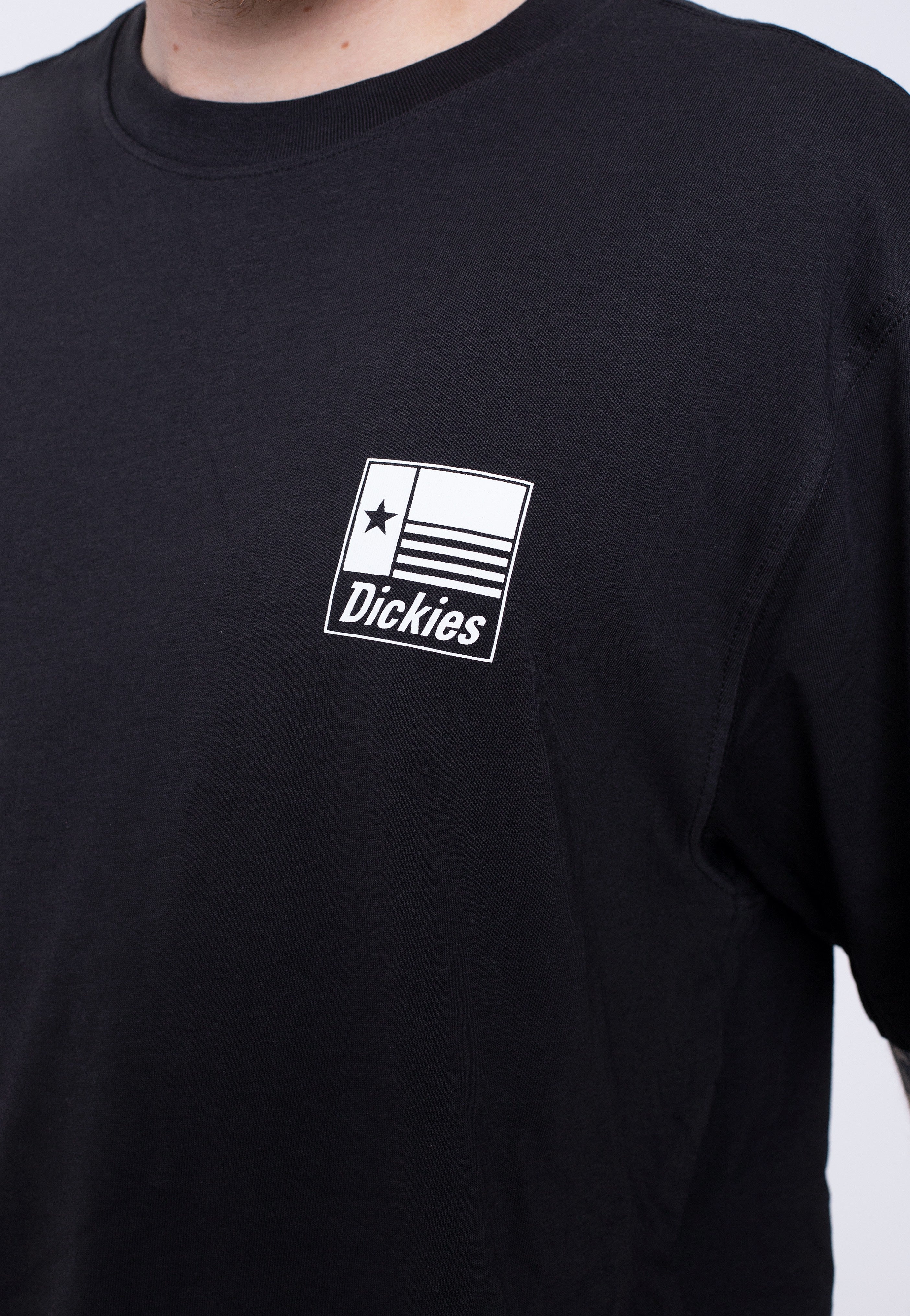 Dickies - Taylor Black - T-Shirt | Men-Image