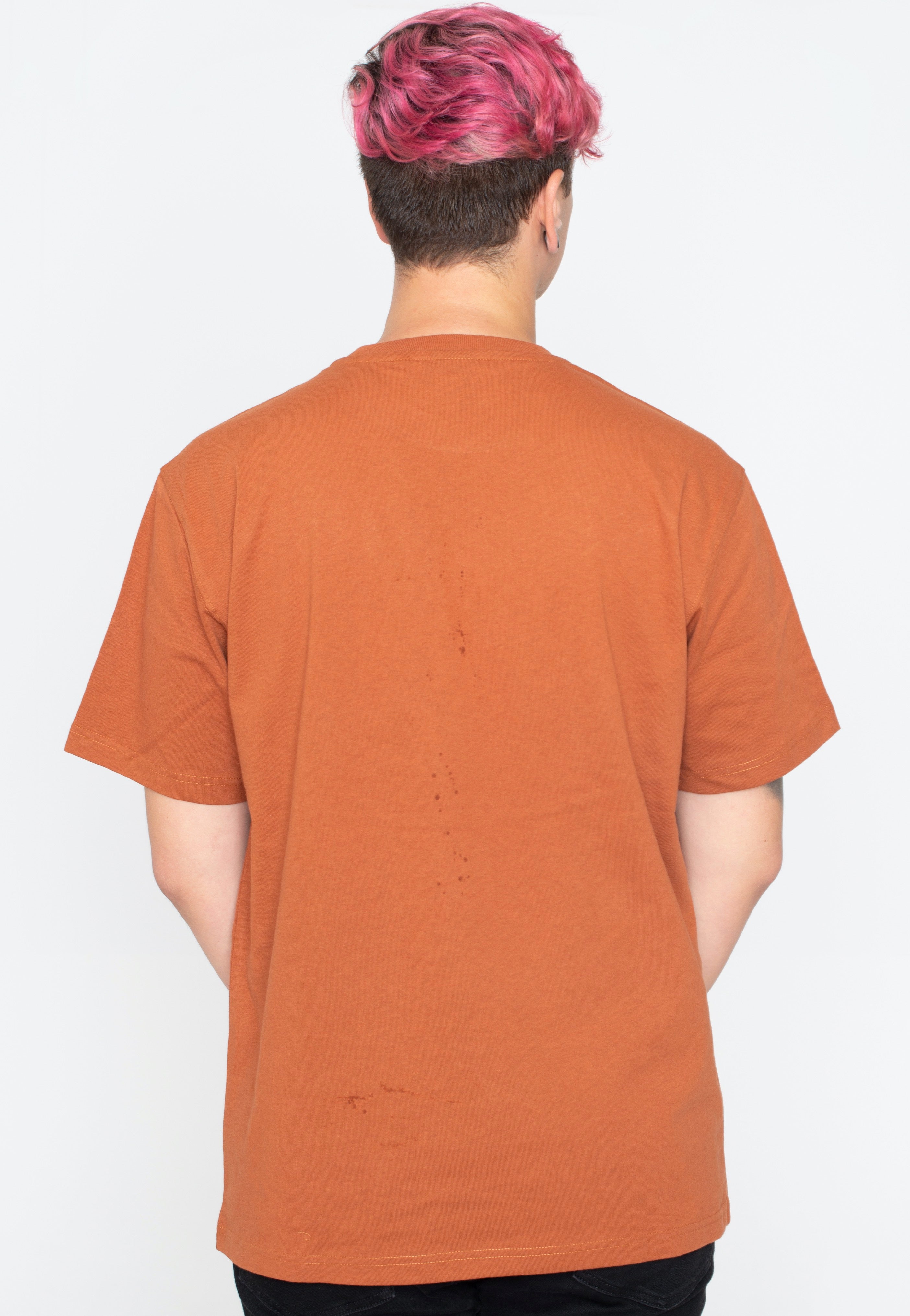 Dickies - Union Springs Gingerbread - T-Shirt | Men-Image