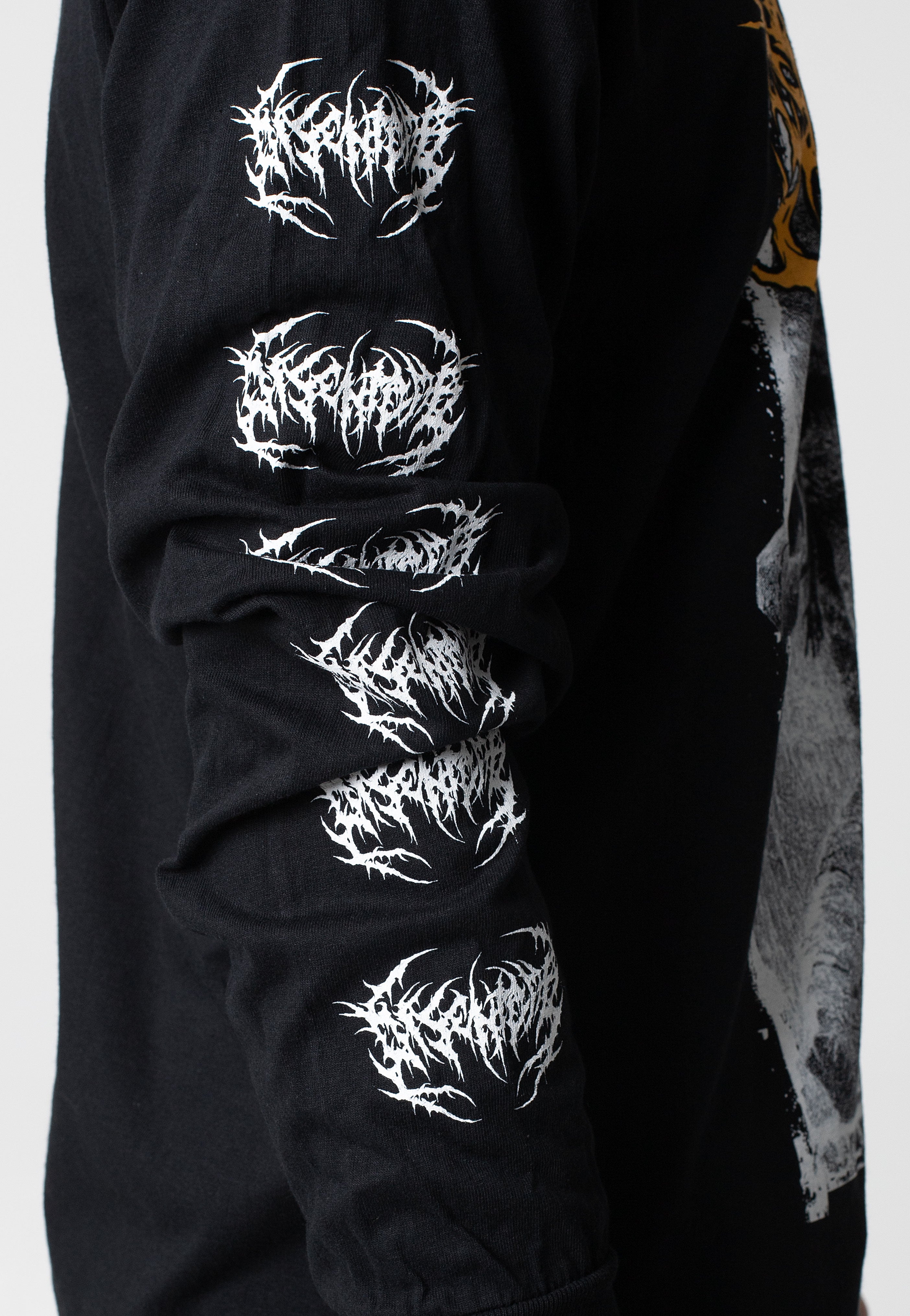 Disentomb - Decaying Light BW - Longsleeve | Men-Image