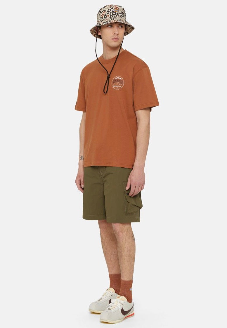 Dickies - Jackson Military Green - Shorts | Men-Image