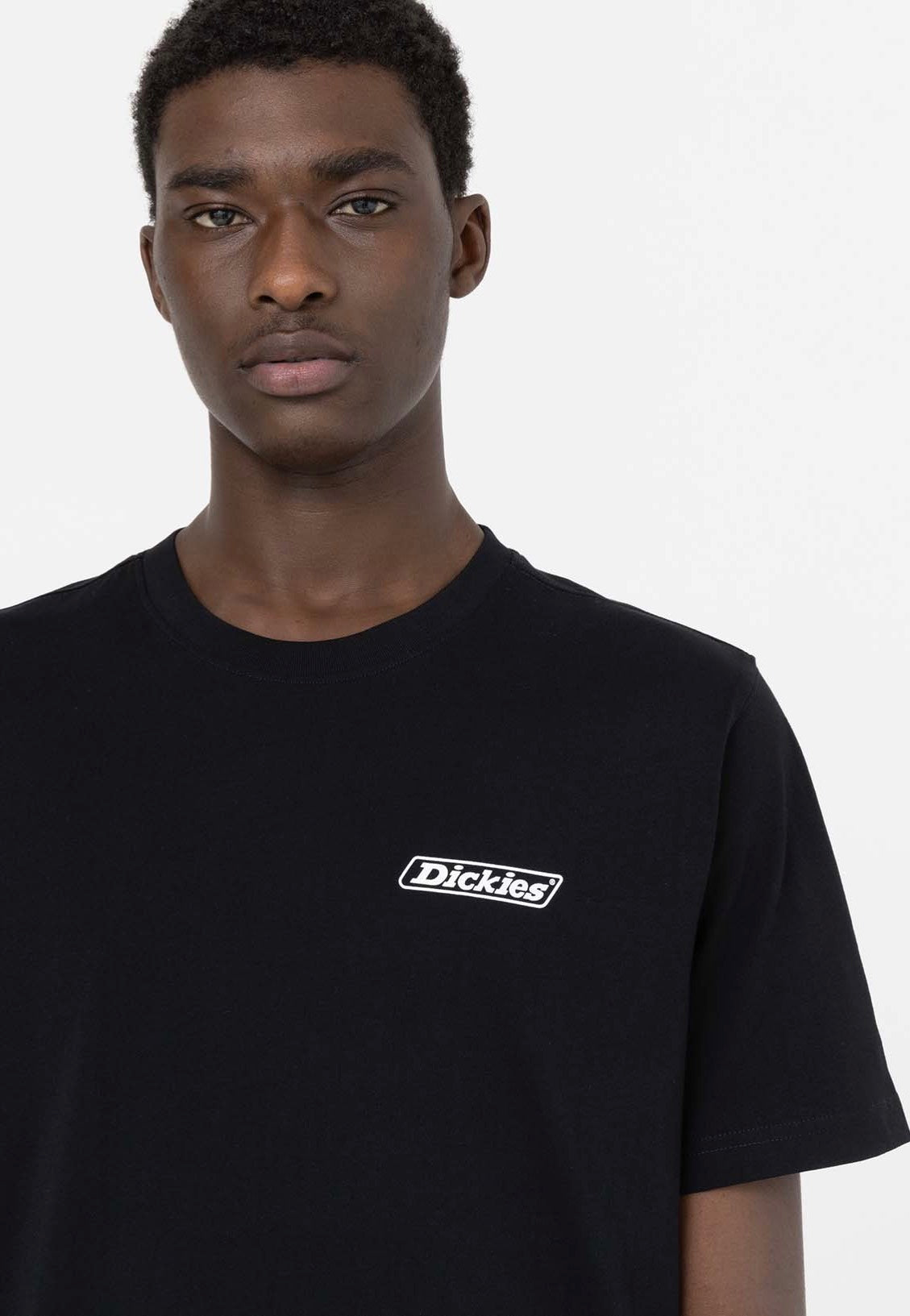 Dickies - Roseburg Box Black - T-Shirt | Men-Image