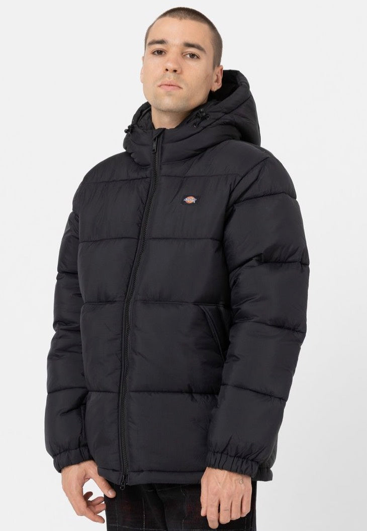 Dickies - Waldenburg Hooded Black - Jacket | Men-Image