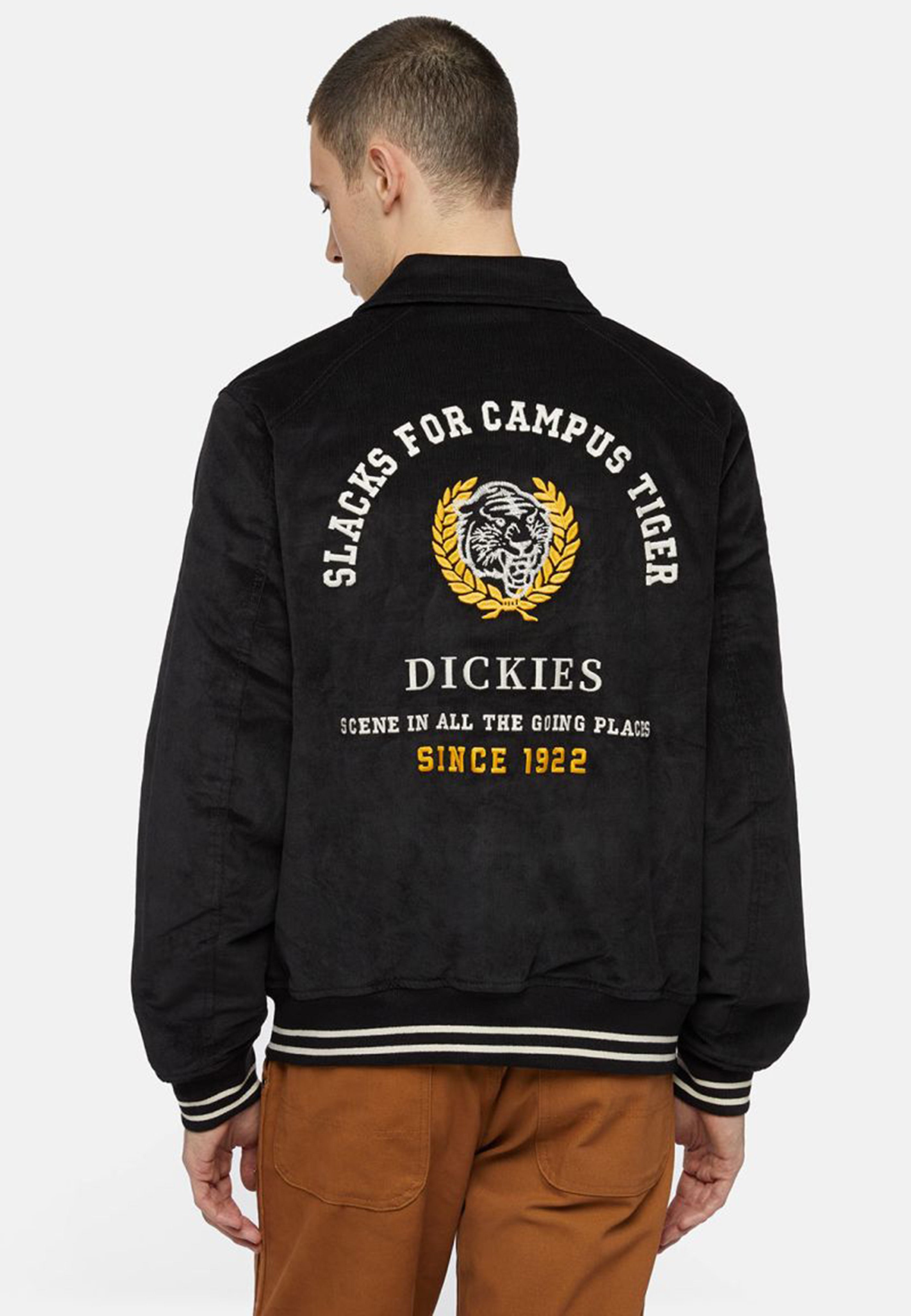 Dickies - Westmoreland Black - Jacket | Men-Image