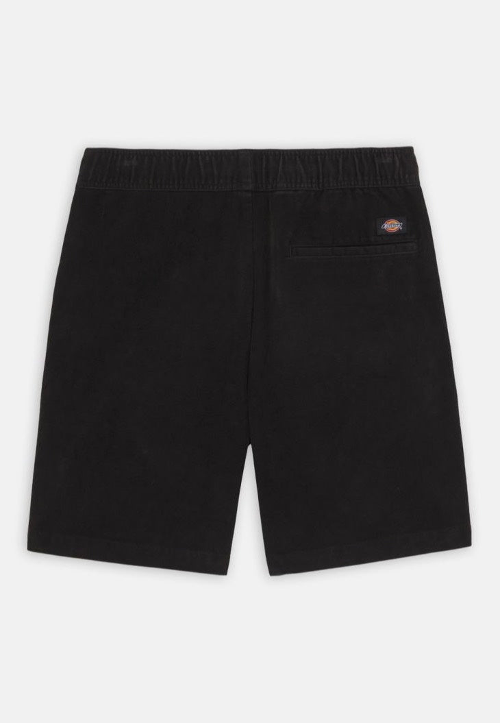 Dickies - Chase City Black - Shorts | Men-Image