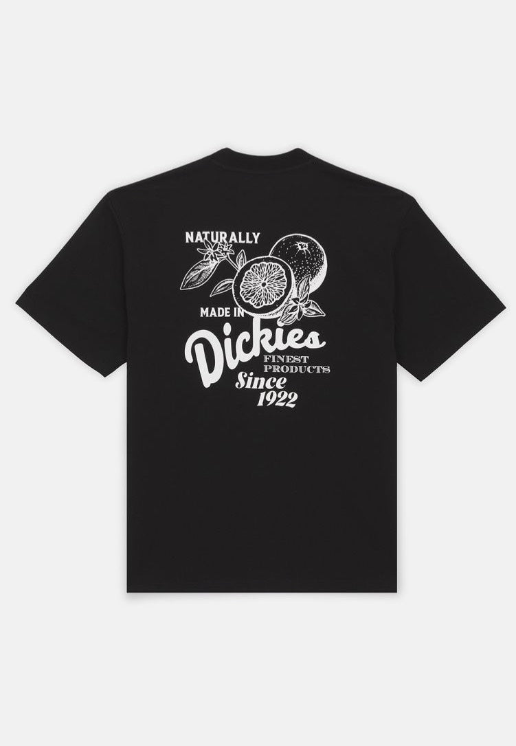 Dickies - Raven Black - T-Shirt | Men-Image