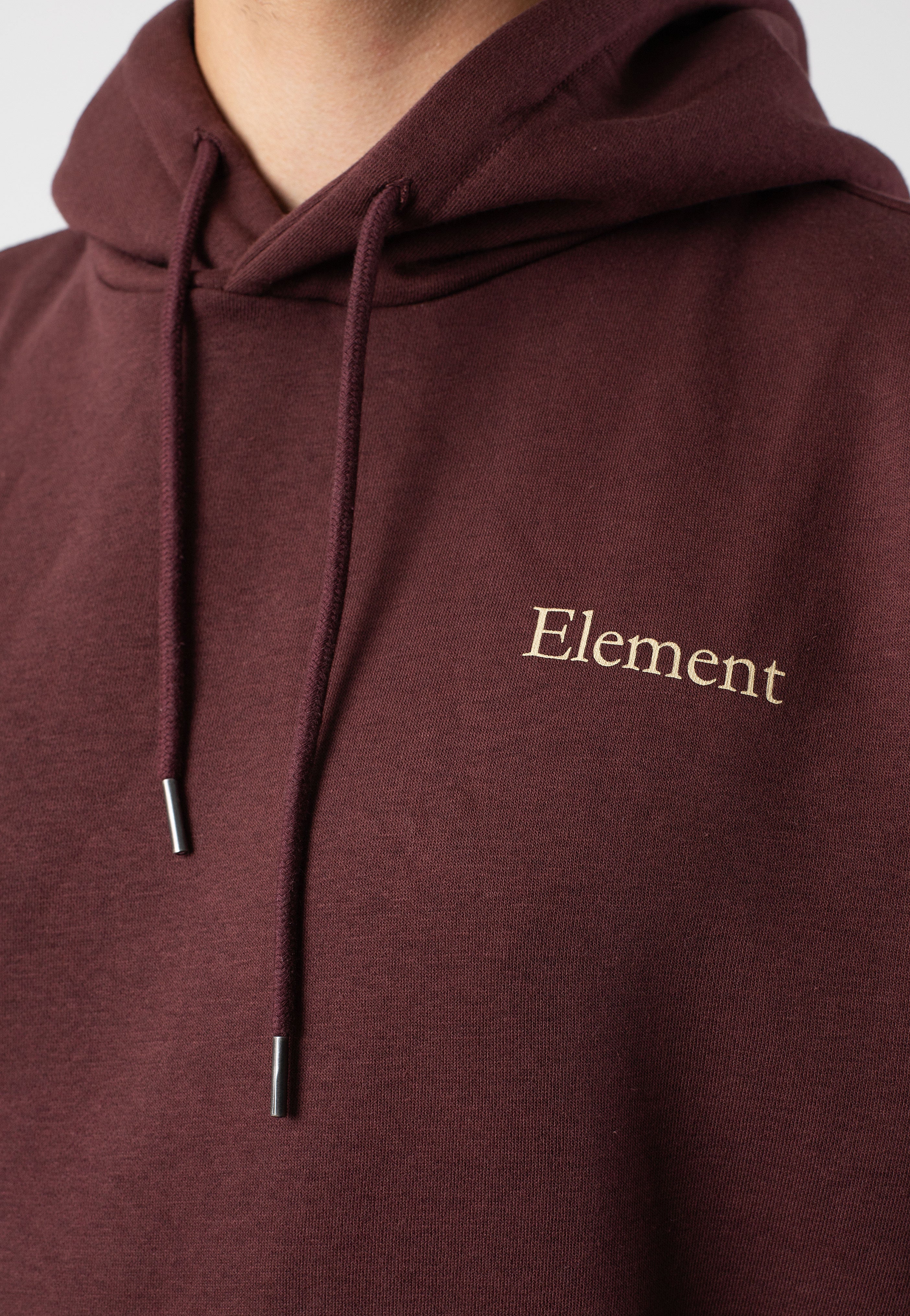 Element x Smokey Bear - Prevent Hood Decadent Chocolate - Hoodie | Men-Image