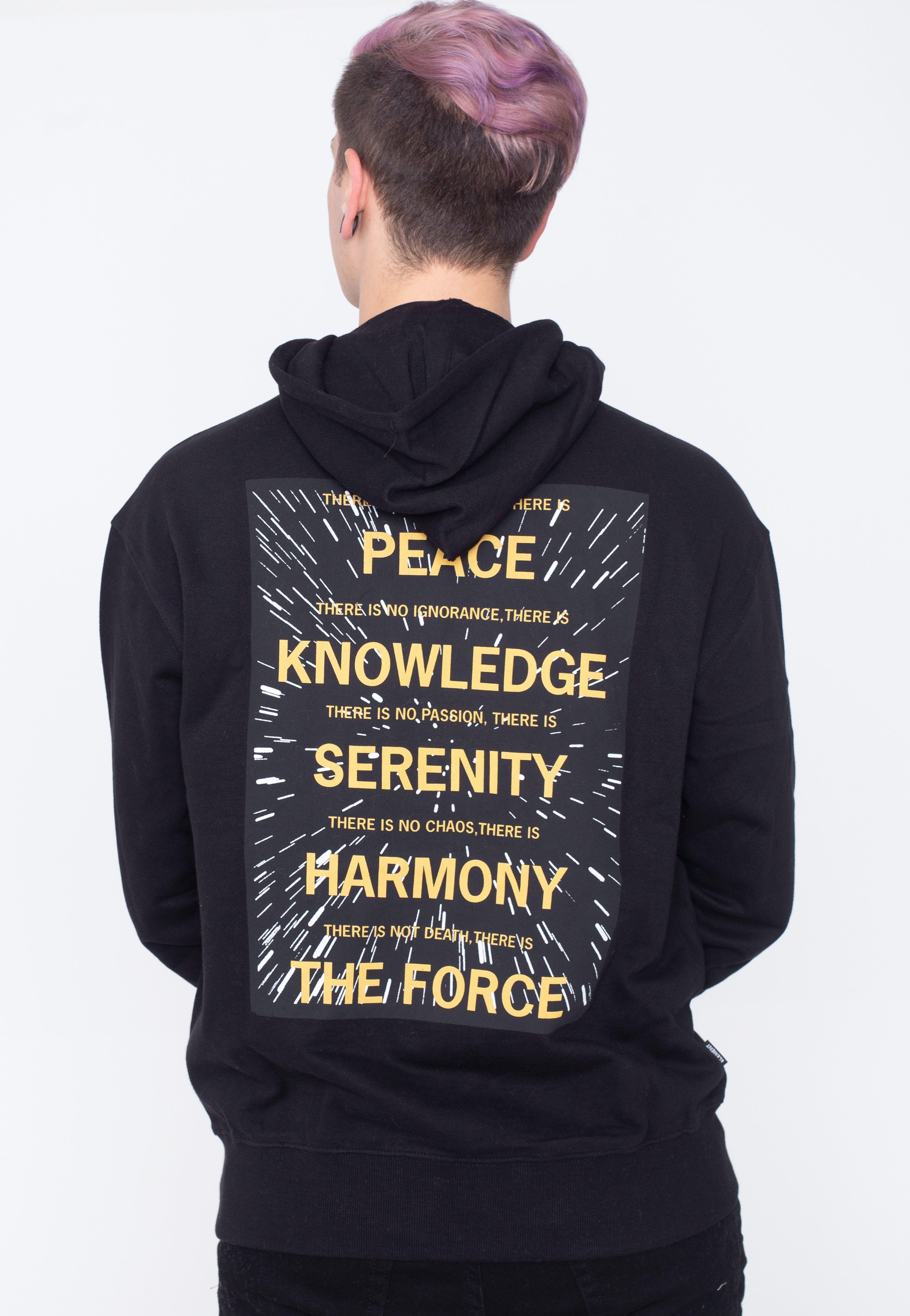 Element x Star Wars - Jediod Flint Black - Hoodie | Men-Image