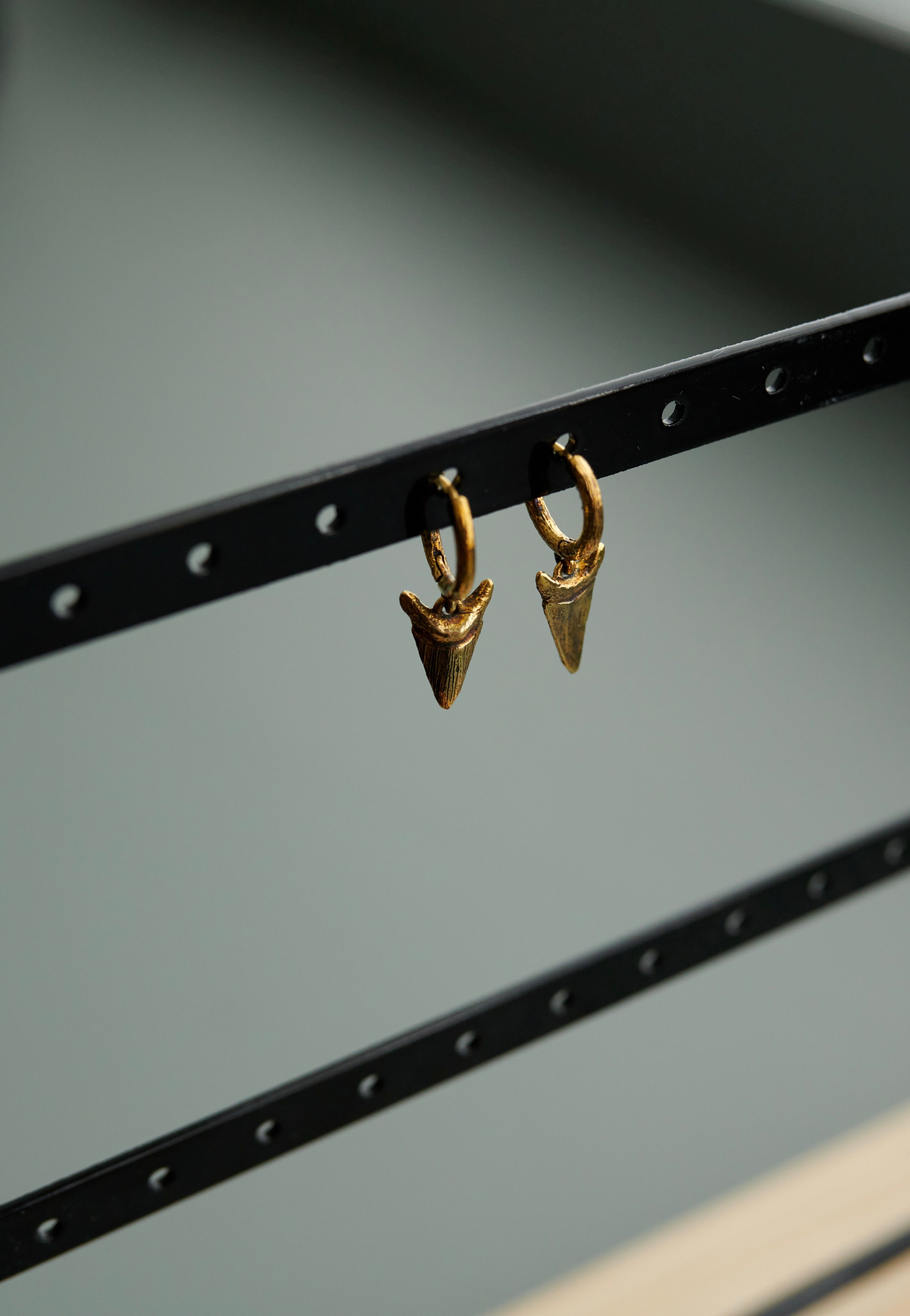 Ask & Embla - Carnivore Gold - Earrings | Neutral-Image