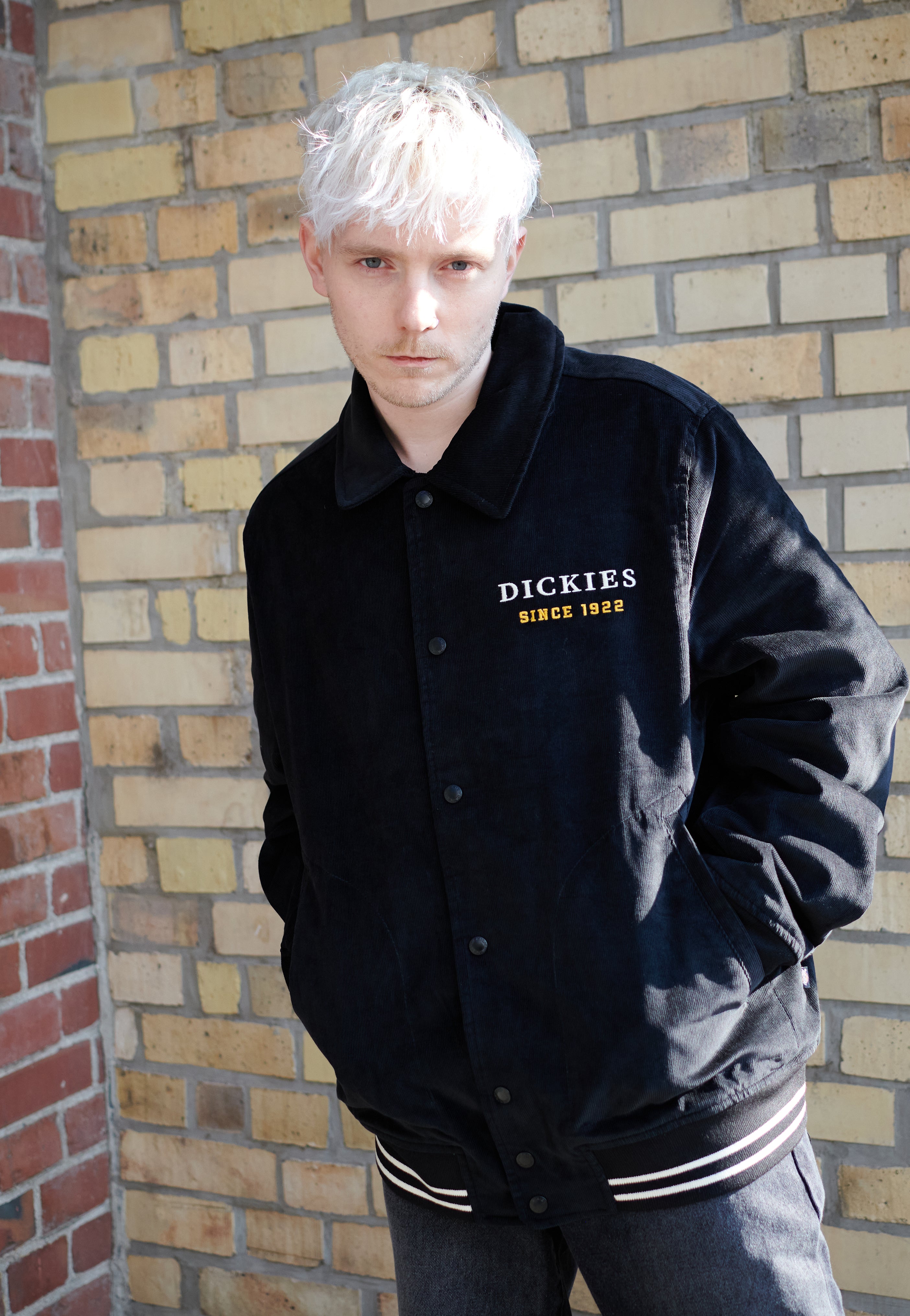 Dickies - Westmoreland Black - Jacket | Men-Image