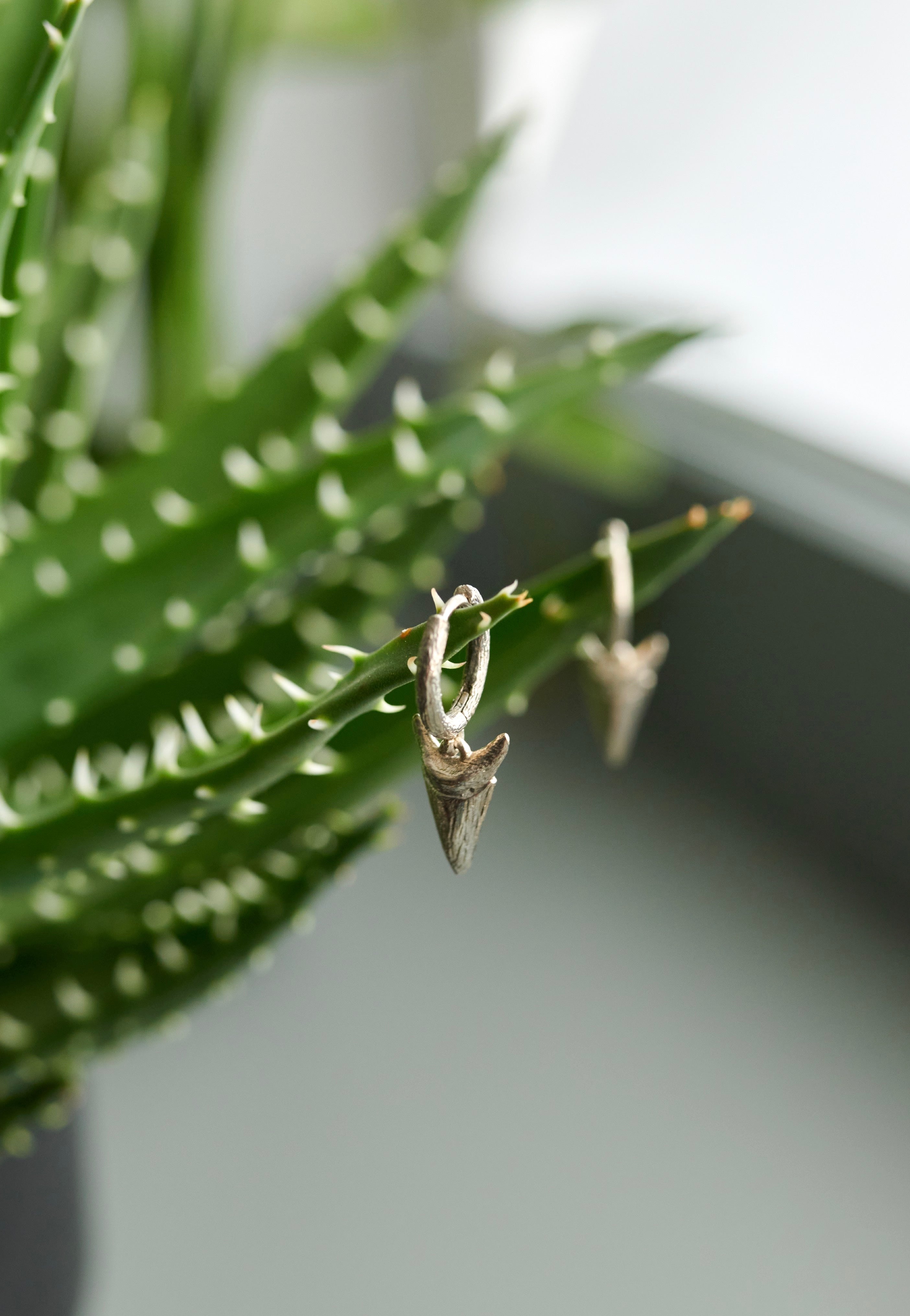 Ask & Embla - Carnivore Silver - Earrings | Neutral-Image