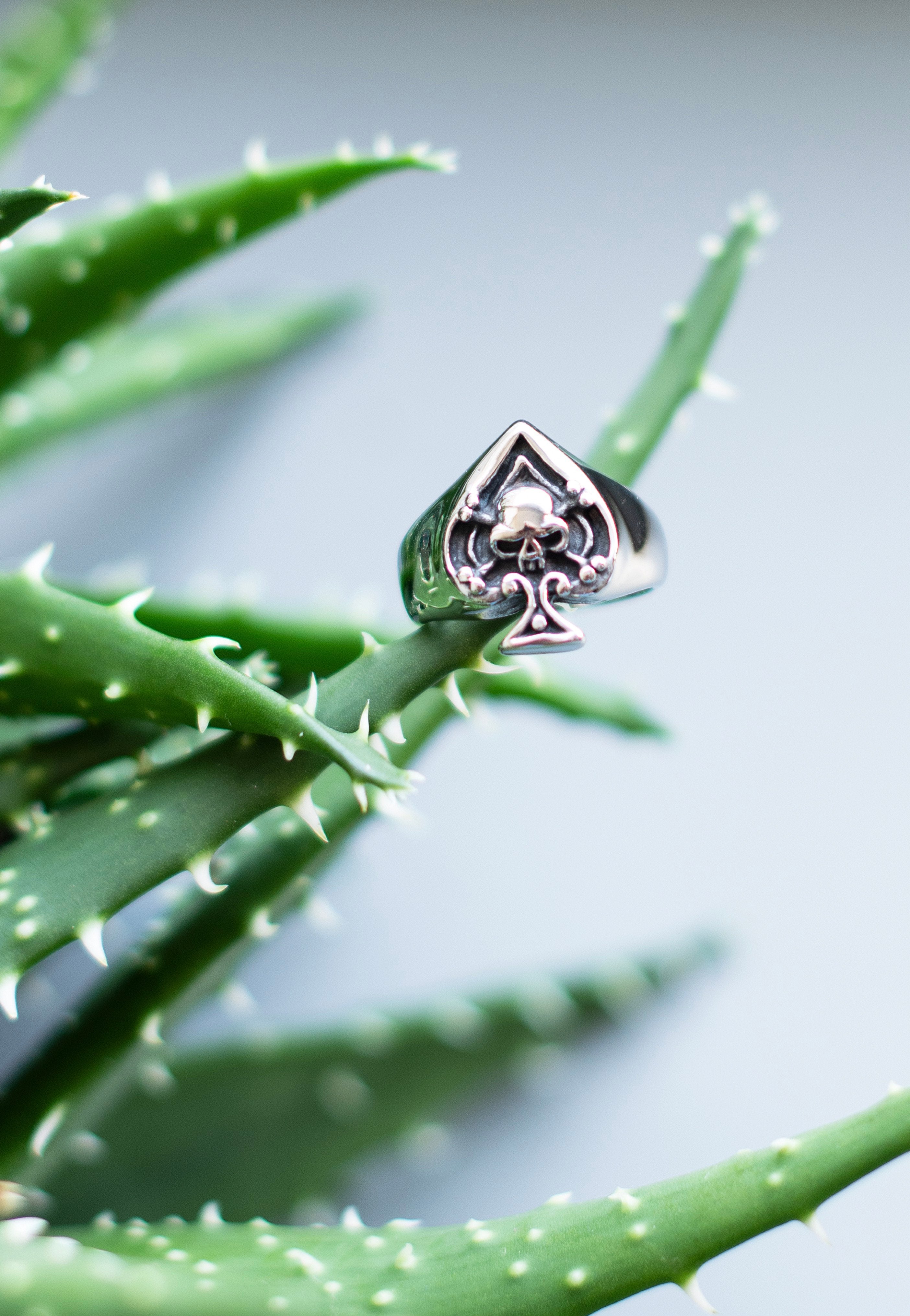 etNox - Ace Of Spades Skull Silver - Ring | Neutral-Image