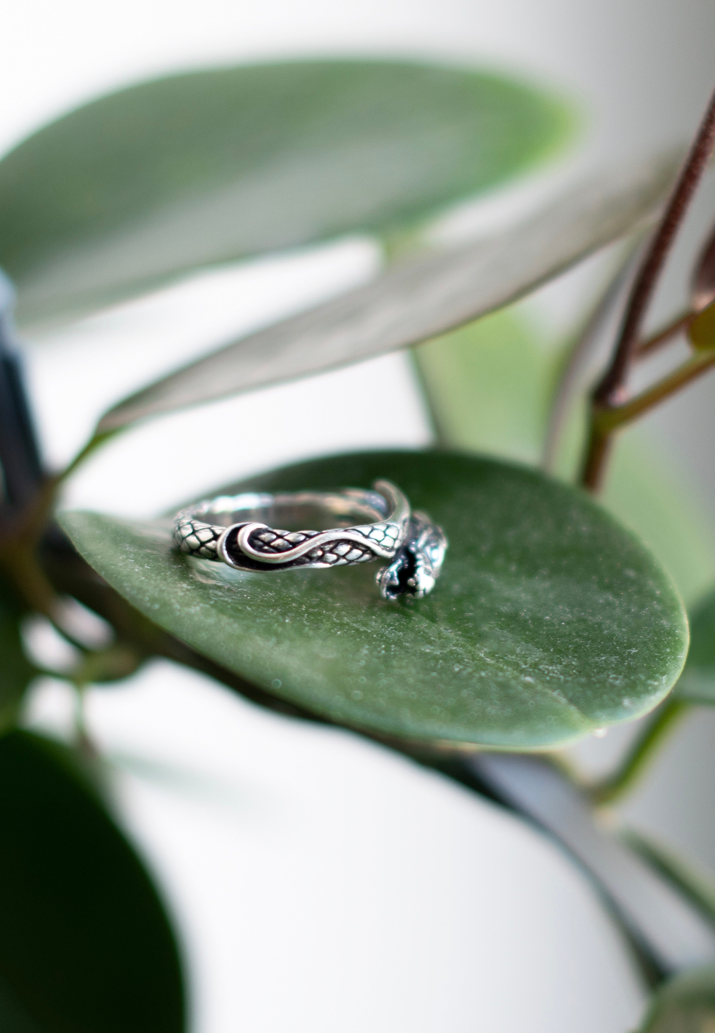 etNox - Dragon Silver - Ring | Neutral-Image